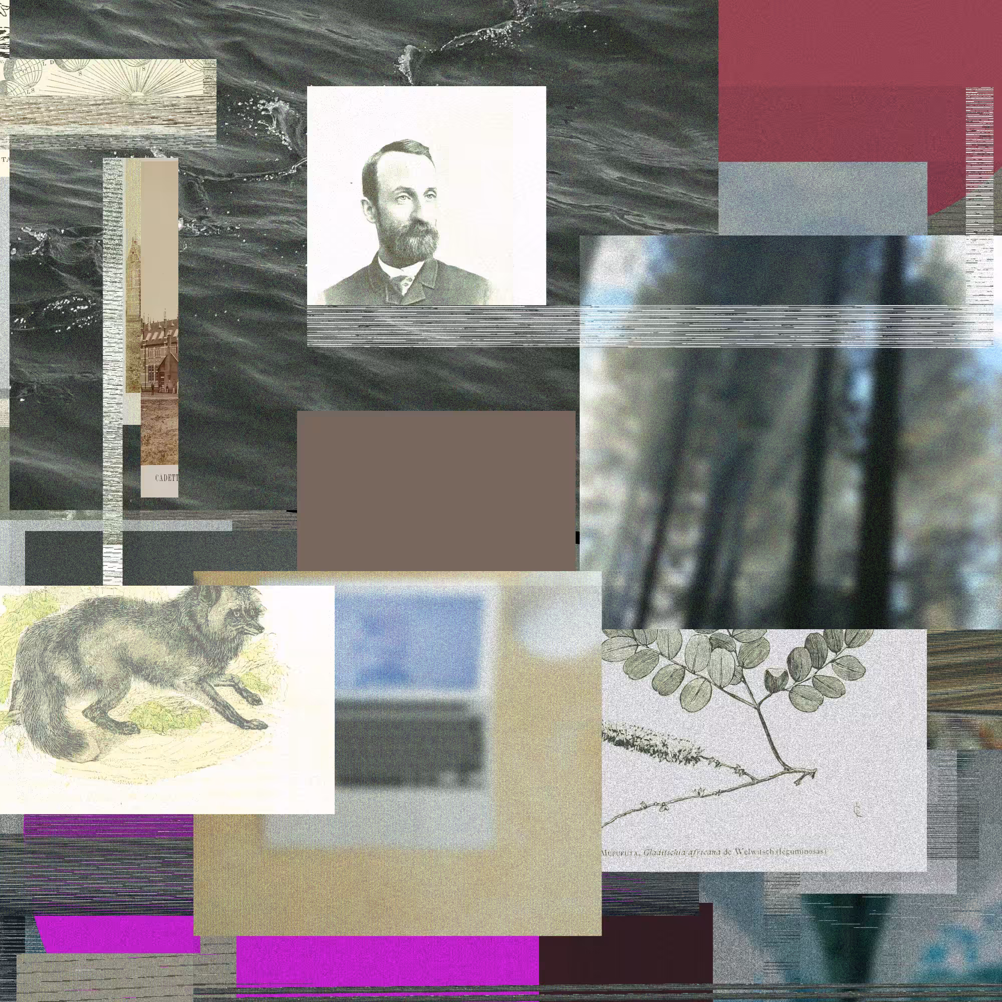 Unconscious Collages #557
