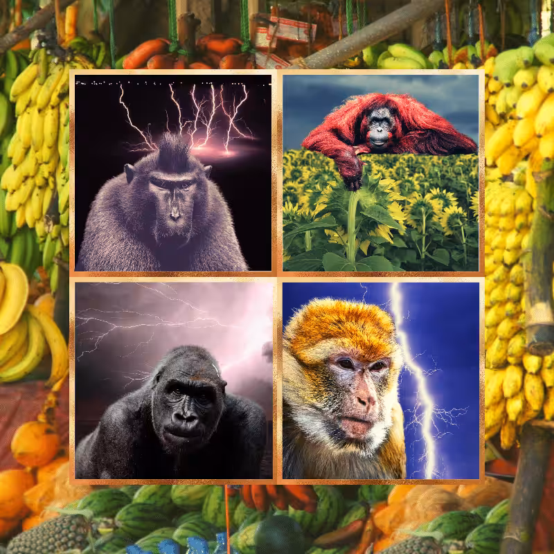 Banana legends #16