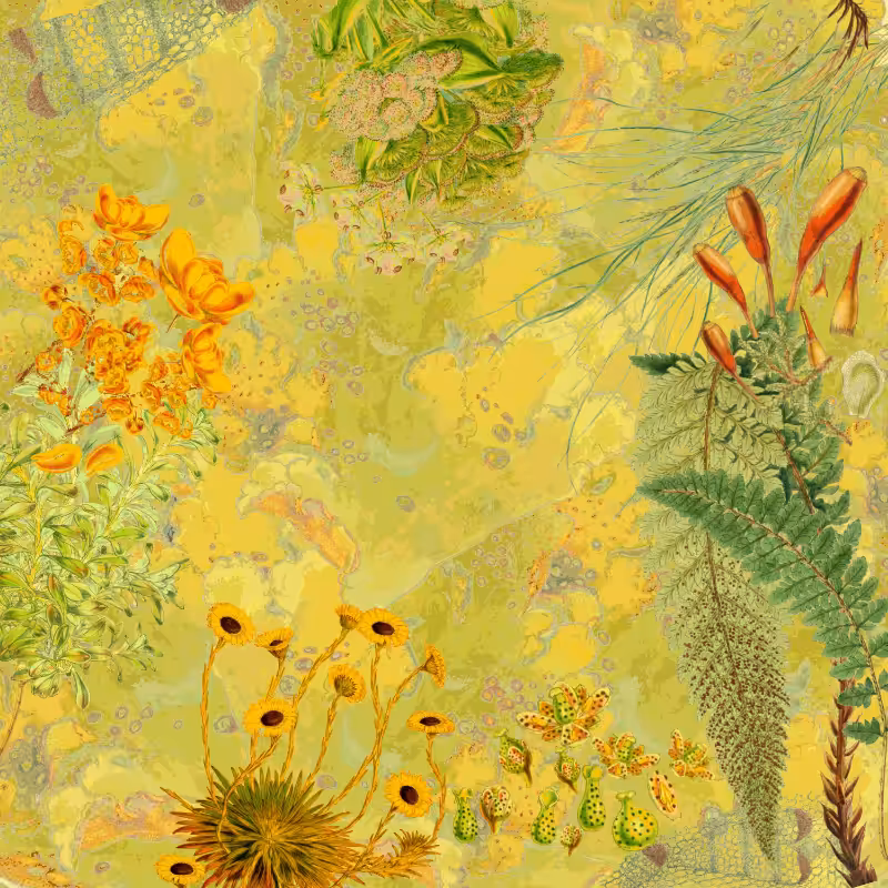 future flora from Antarctica's past #24