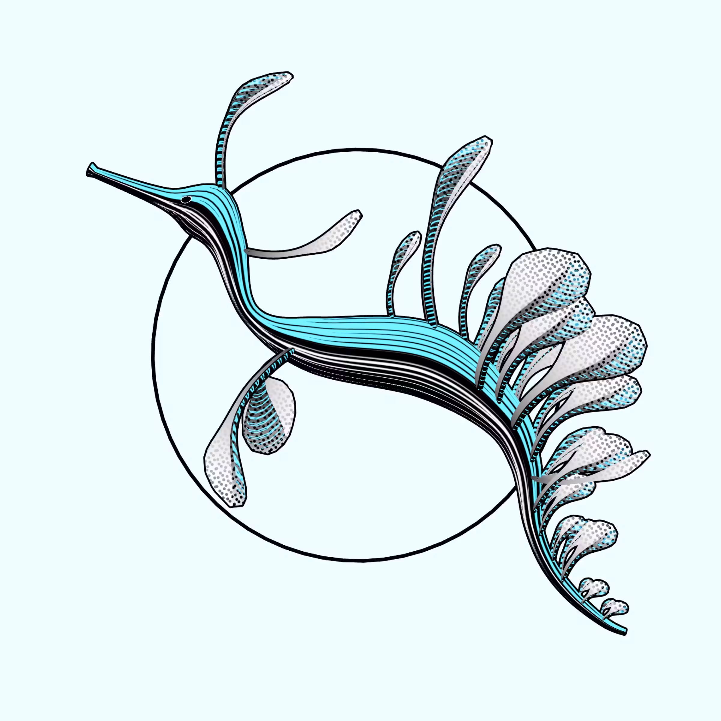 Seadragons #652