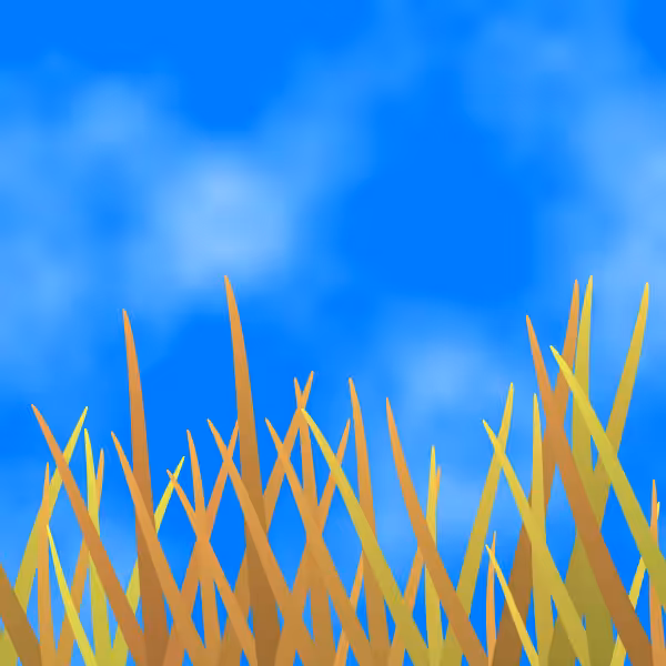 Fields of Ukraine #13