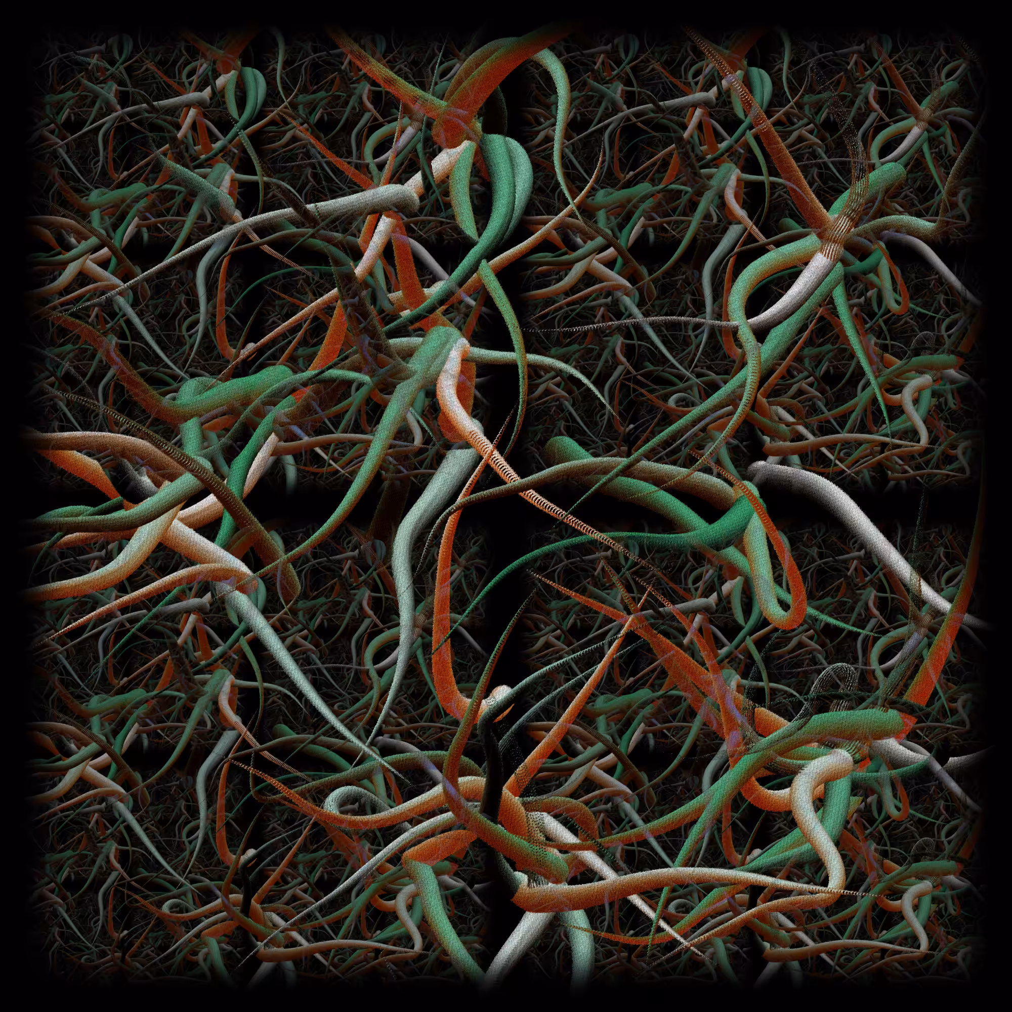 RAICES #3