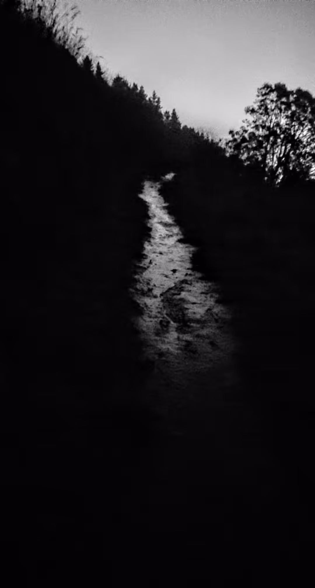 The path is clear