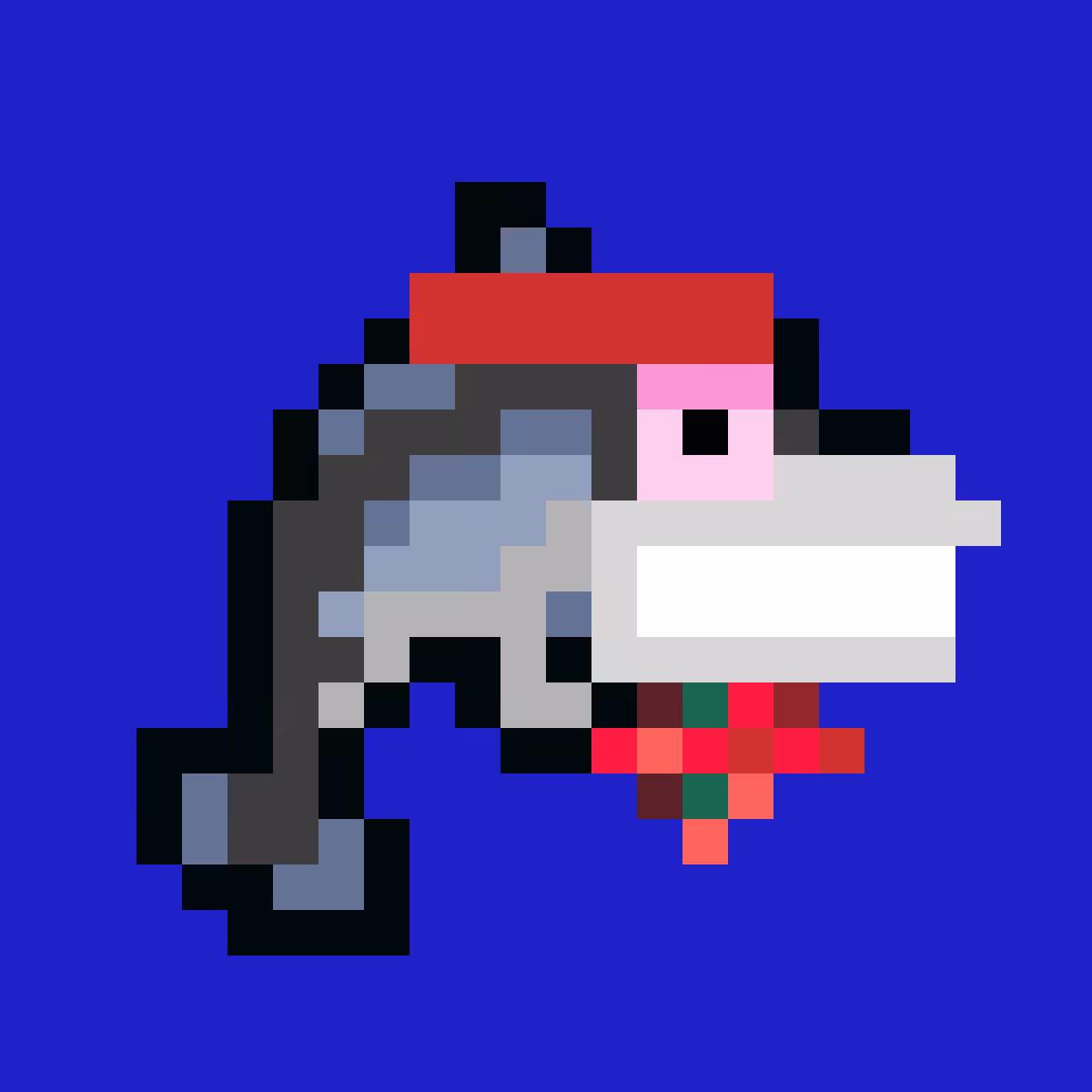 Laughin' Dolphin #007