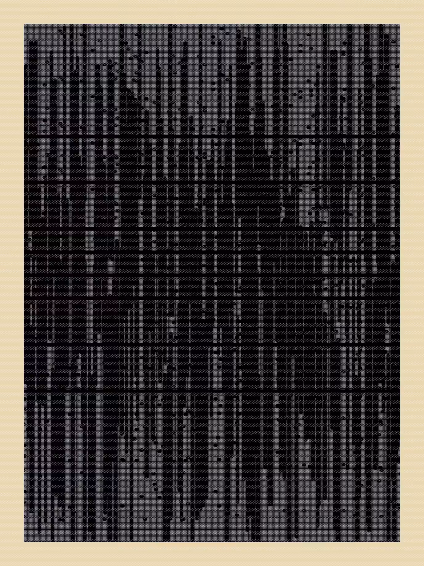 N01ZE GR1D #254