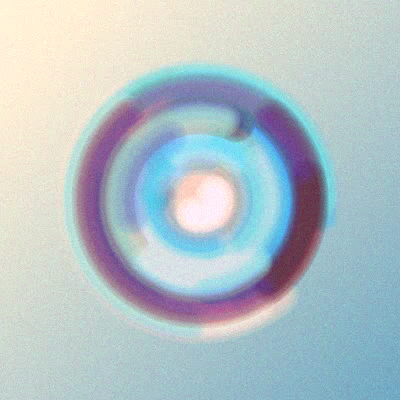Wisp #949