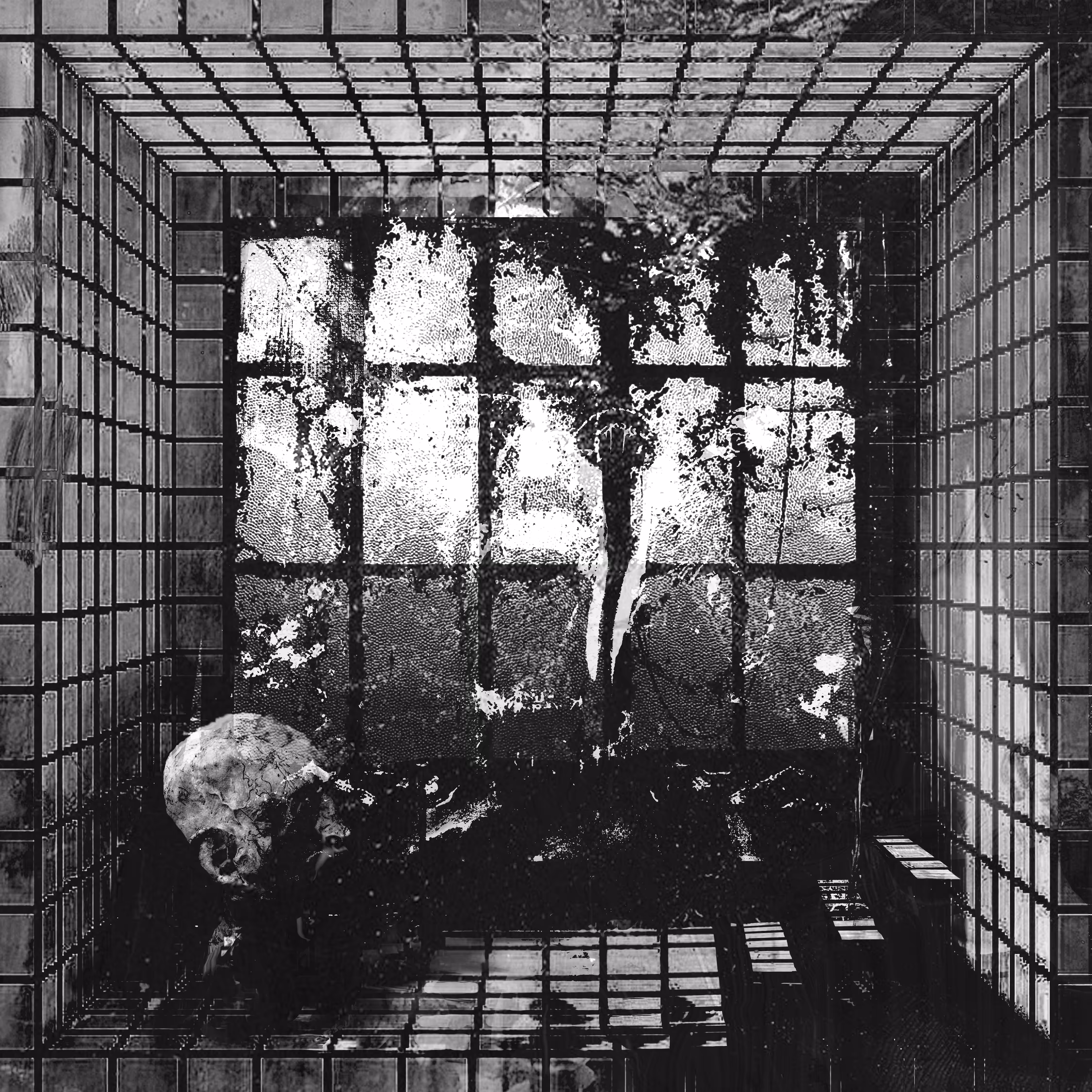 Window of Life