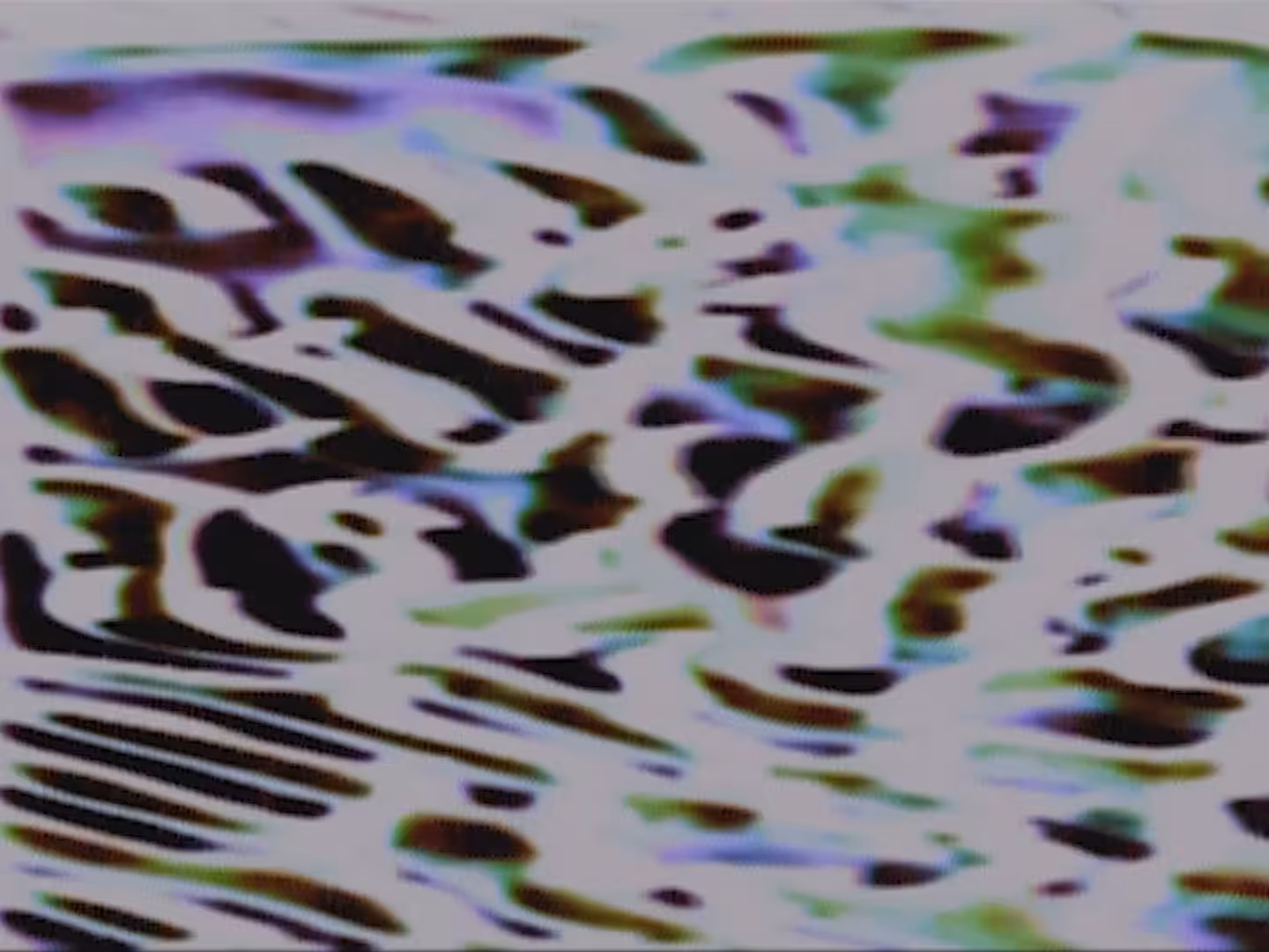 MEDITATION 5