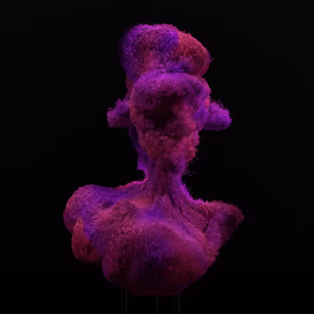 Strange beauty| Announcement of the new collection
