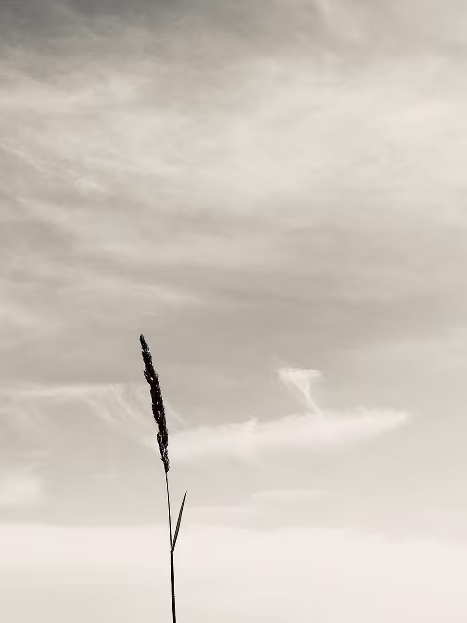 Loneliness