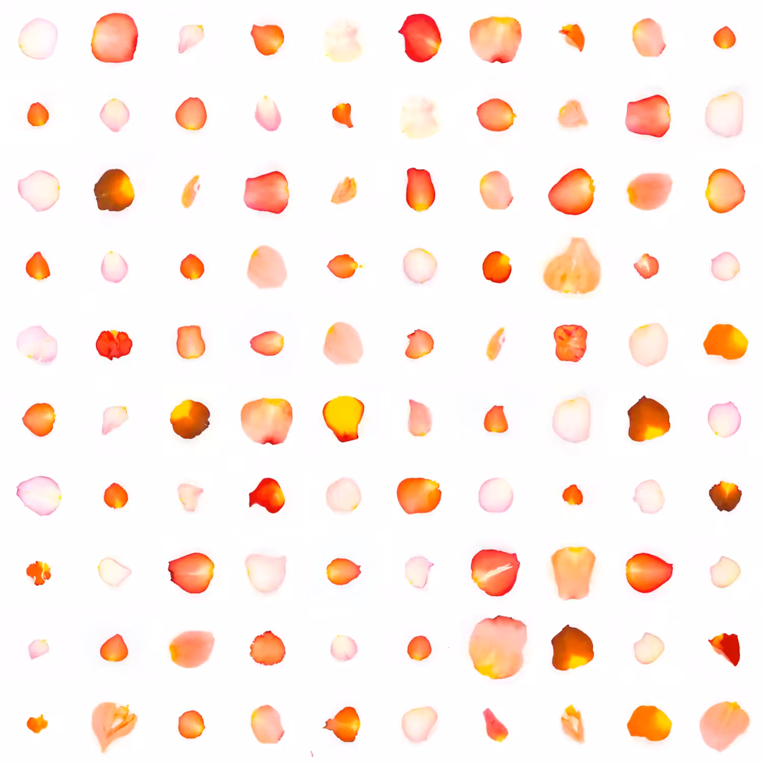 Infinite Petals 10x10#180