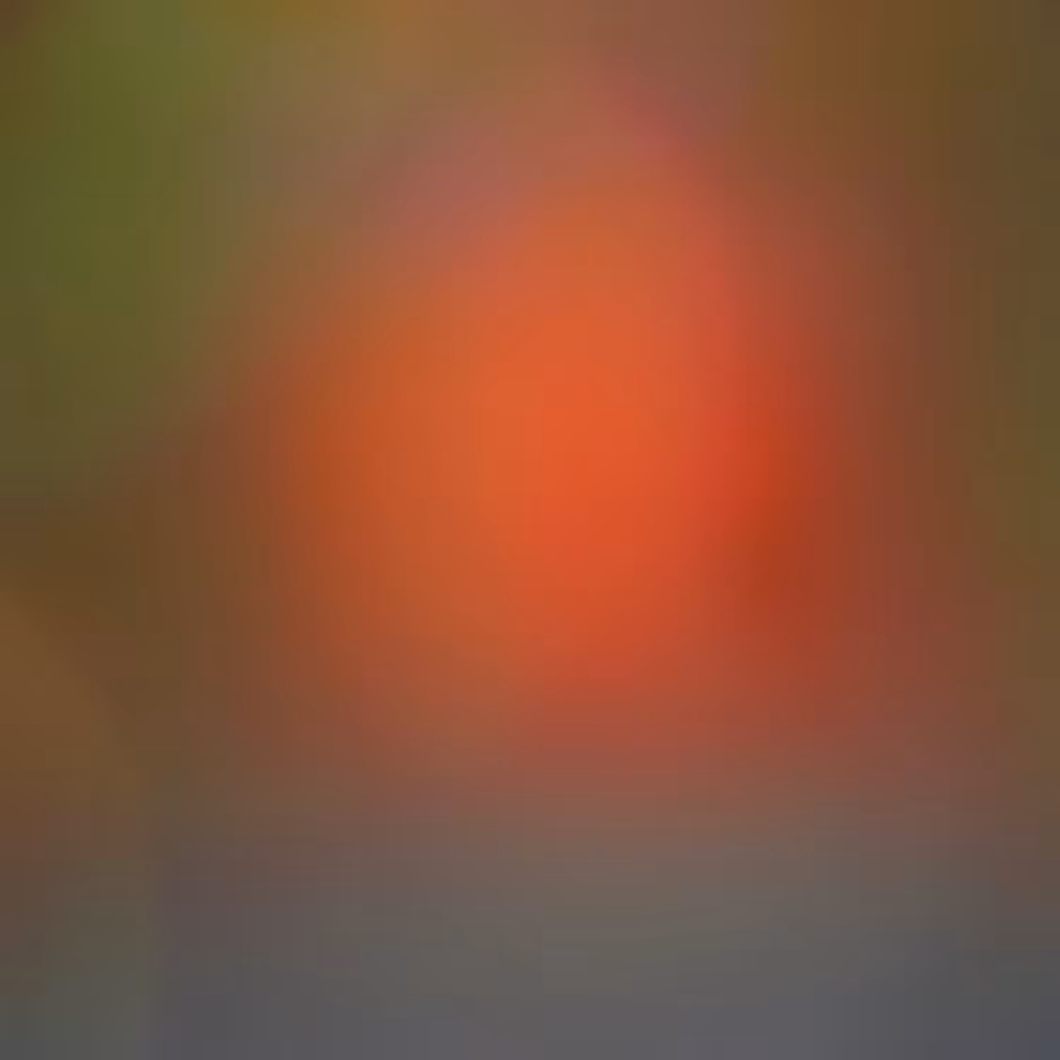 Autochroma #004