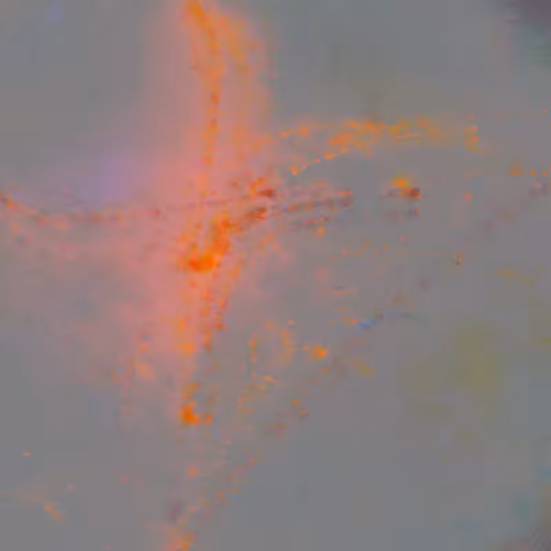 Stitched: Trauma #146
