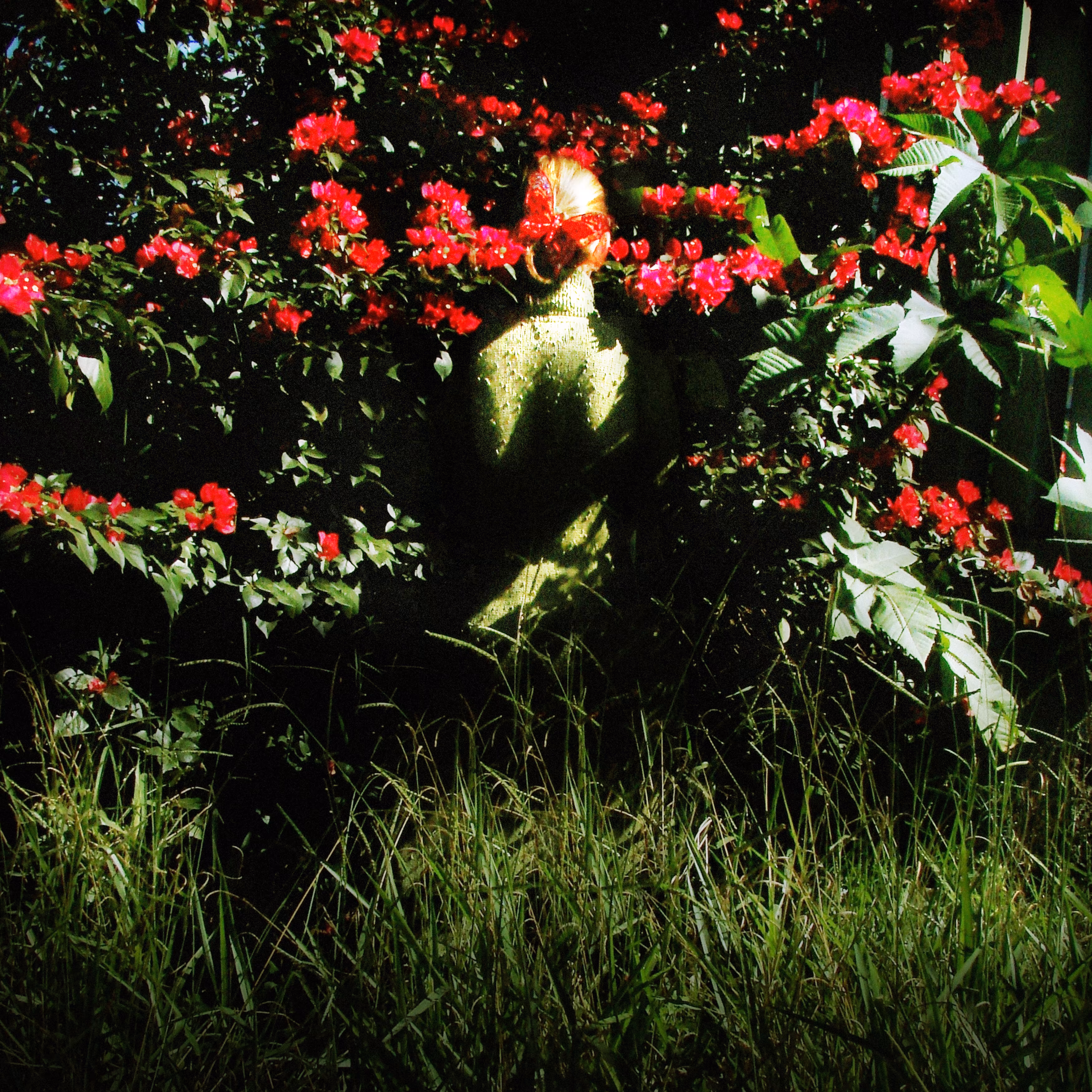 Untitled 10 | From Mimicry Series