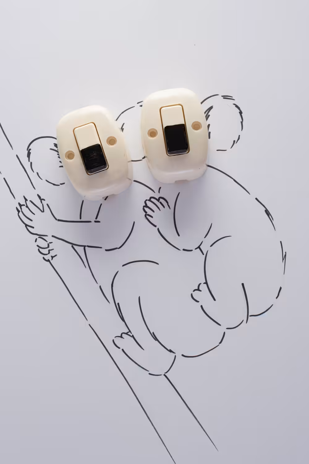Electric koalas