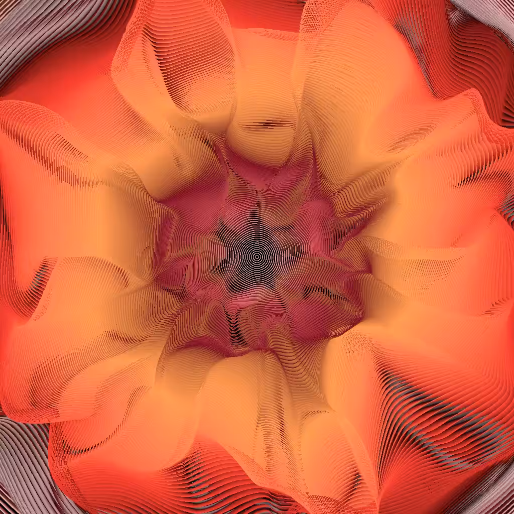 Folds