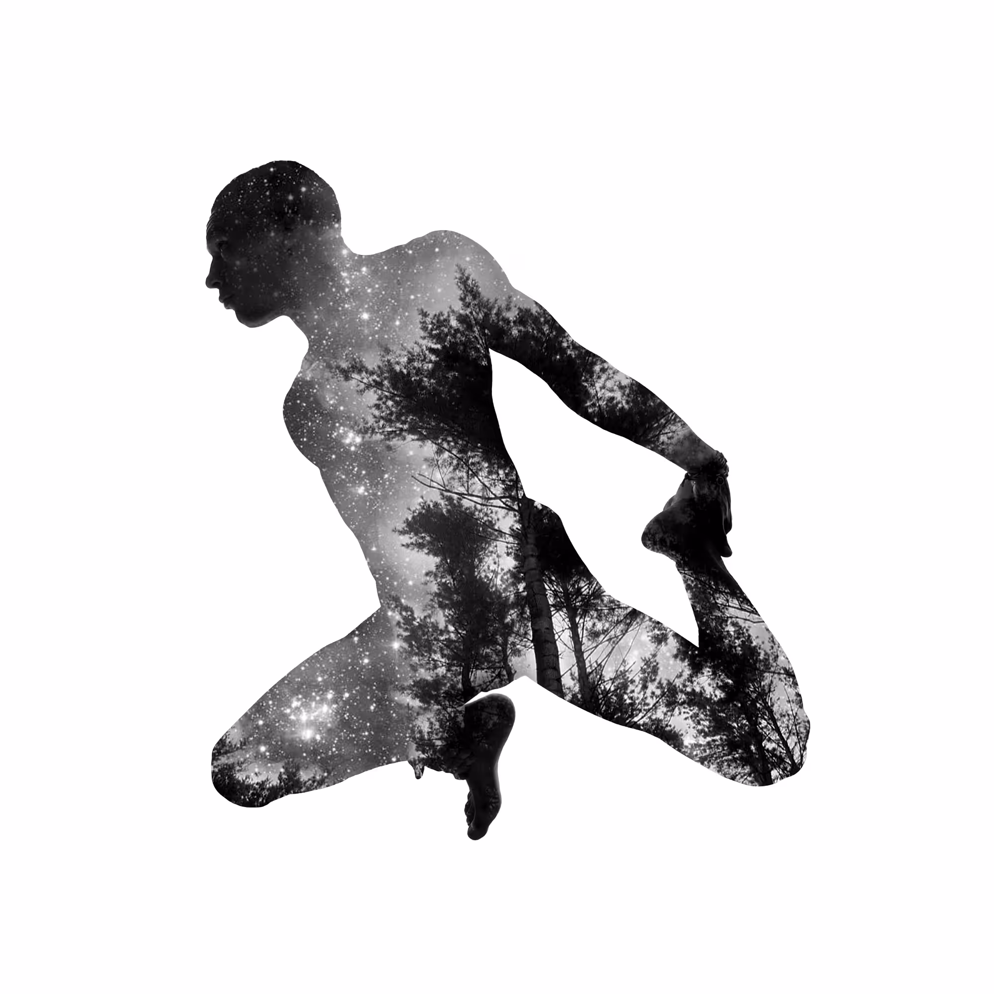 Core of the Cosmos