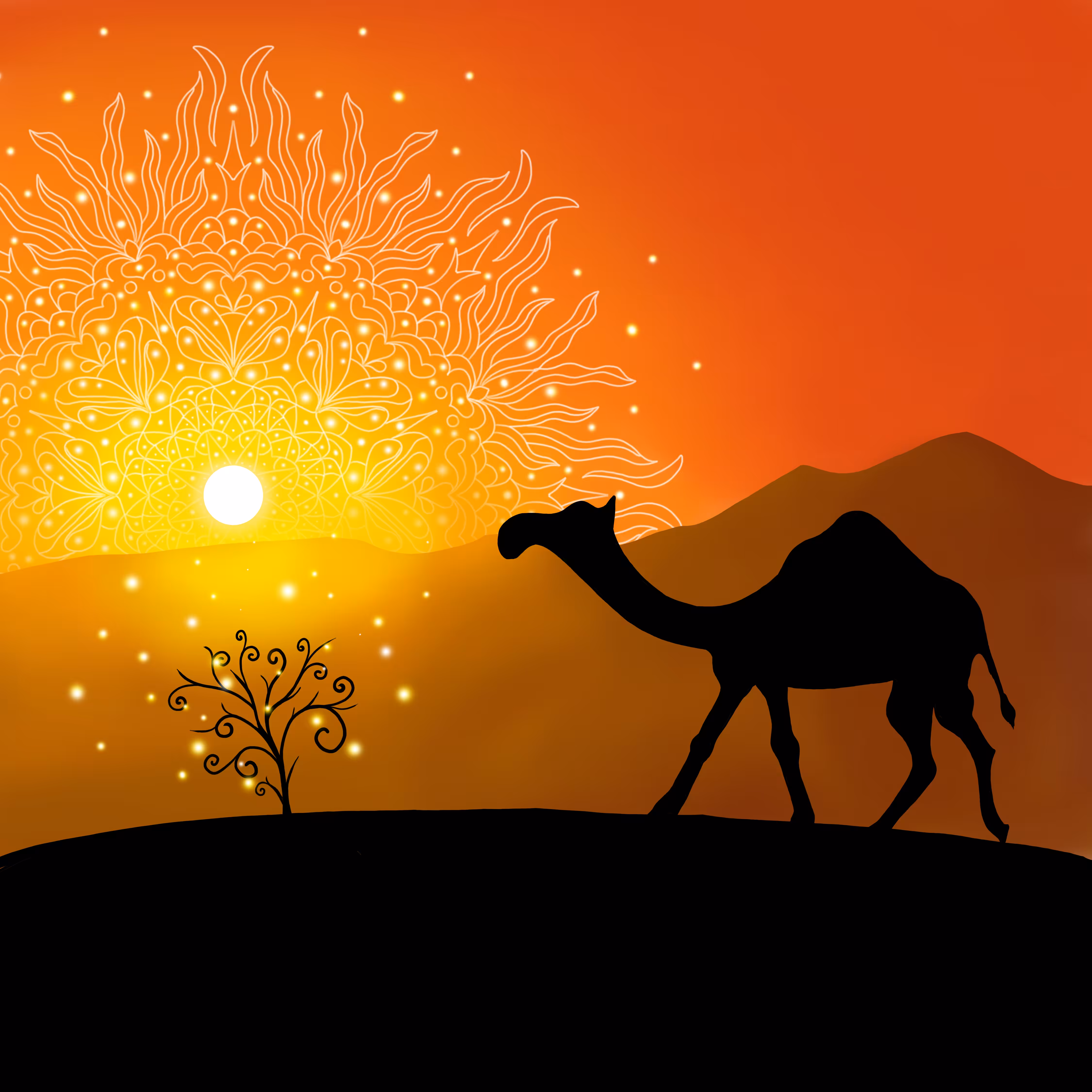 The Sun And The Camel