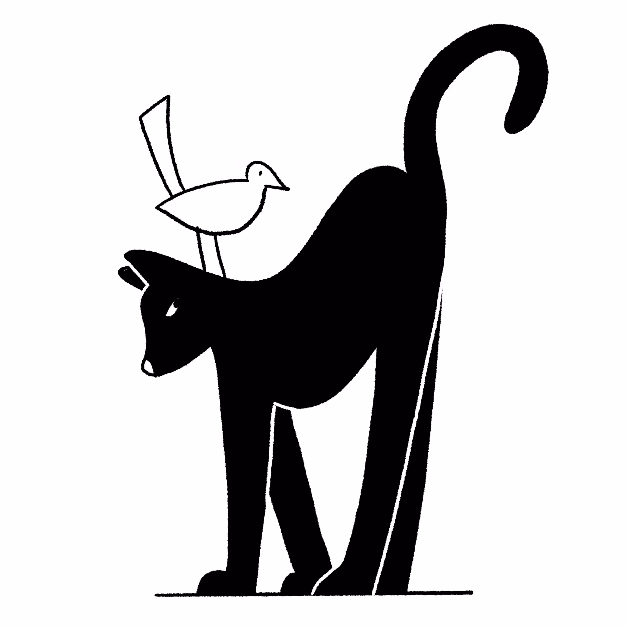 Black Cat