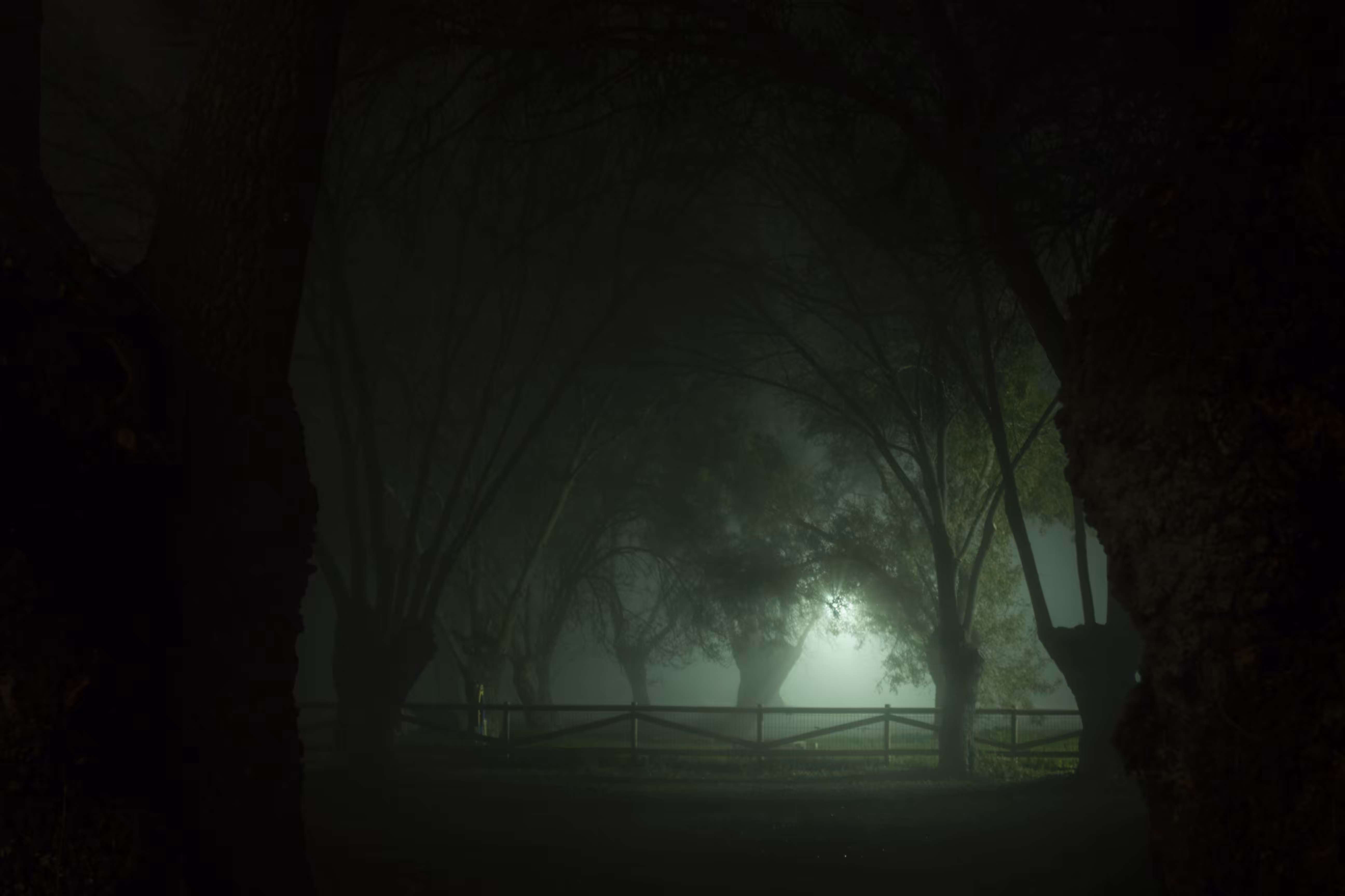 The park