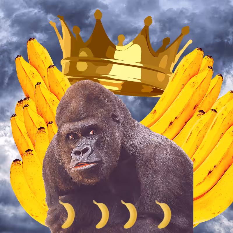 Banana gods #49