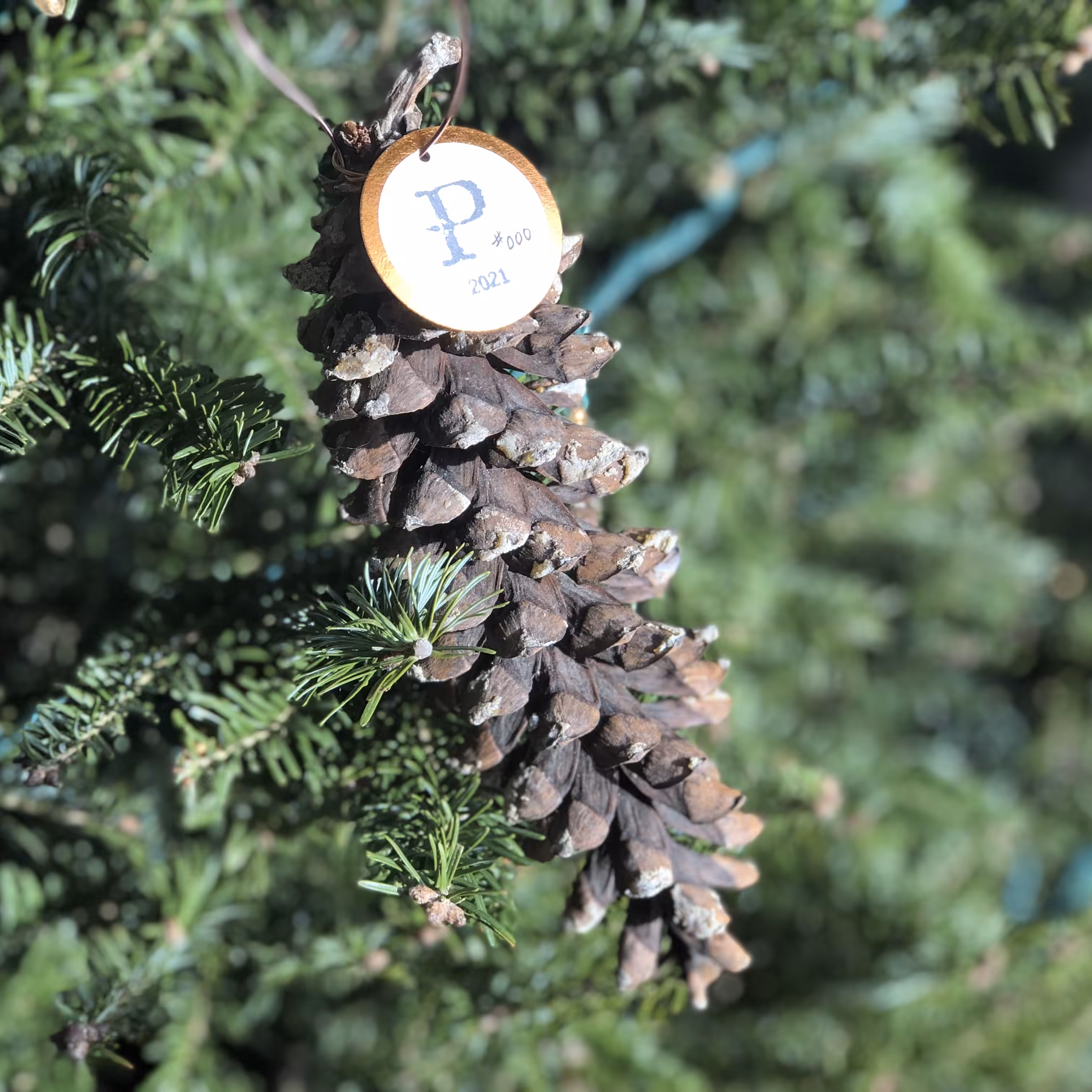Pinecoin 2021 #000