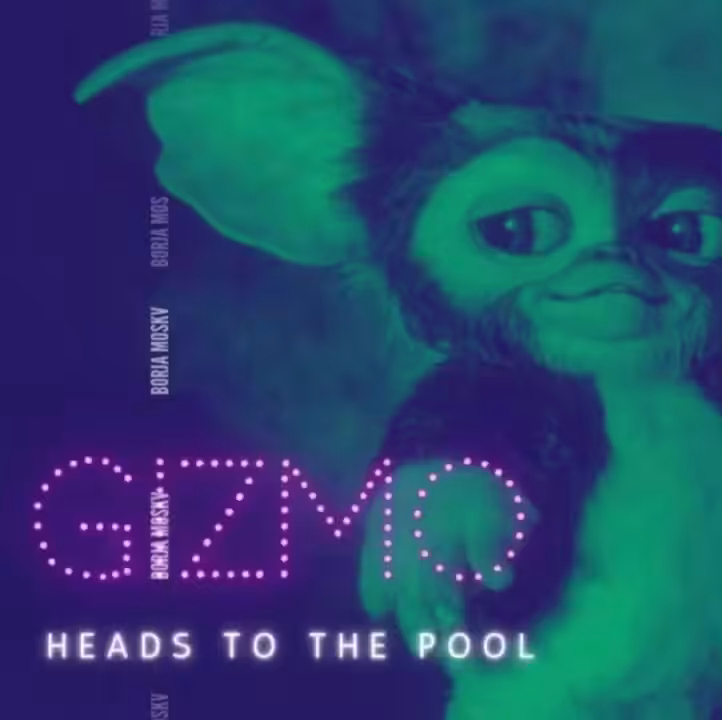 Gizmo heads to the pool