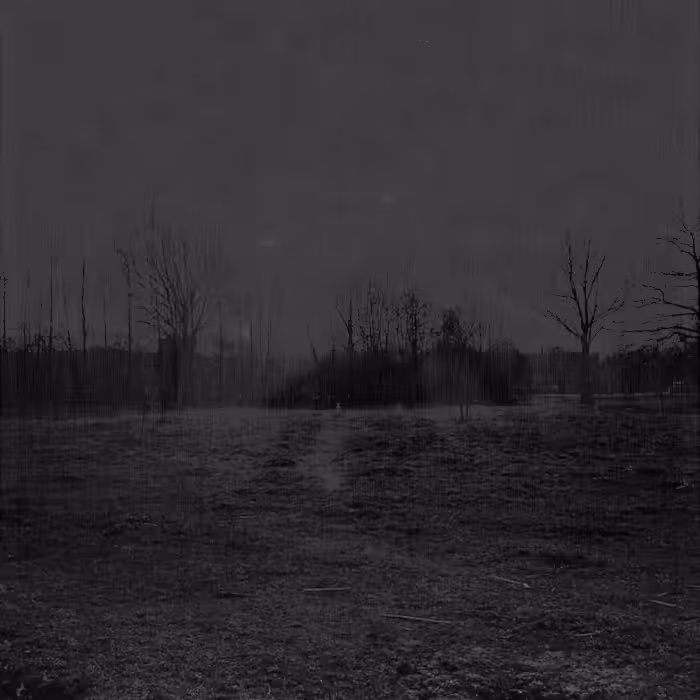 Metamorphose Two #56