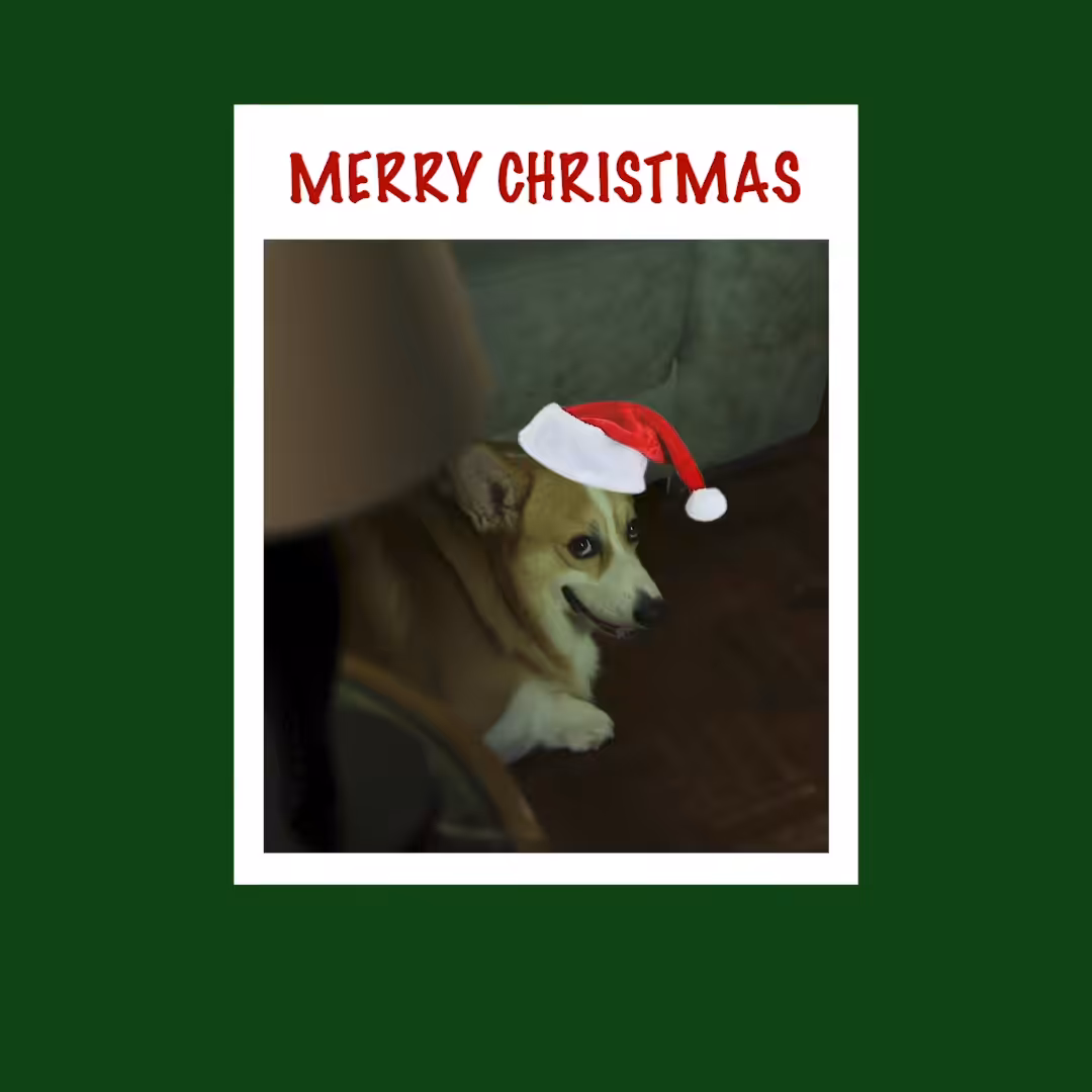 ROLEX DIZZY DOG#3 (XMAS) 