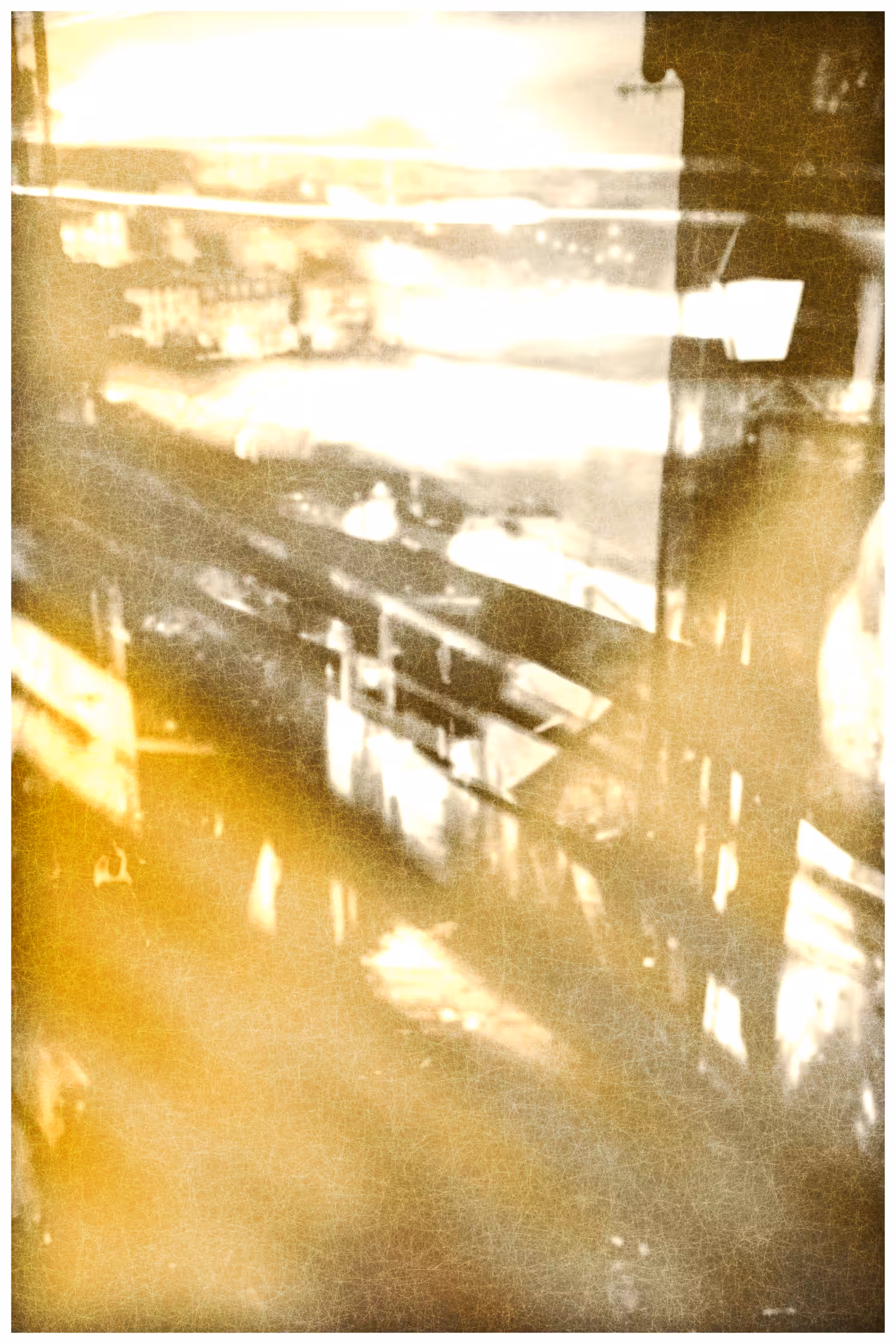 ANIMA #4