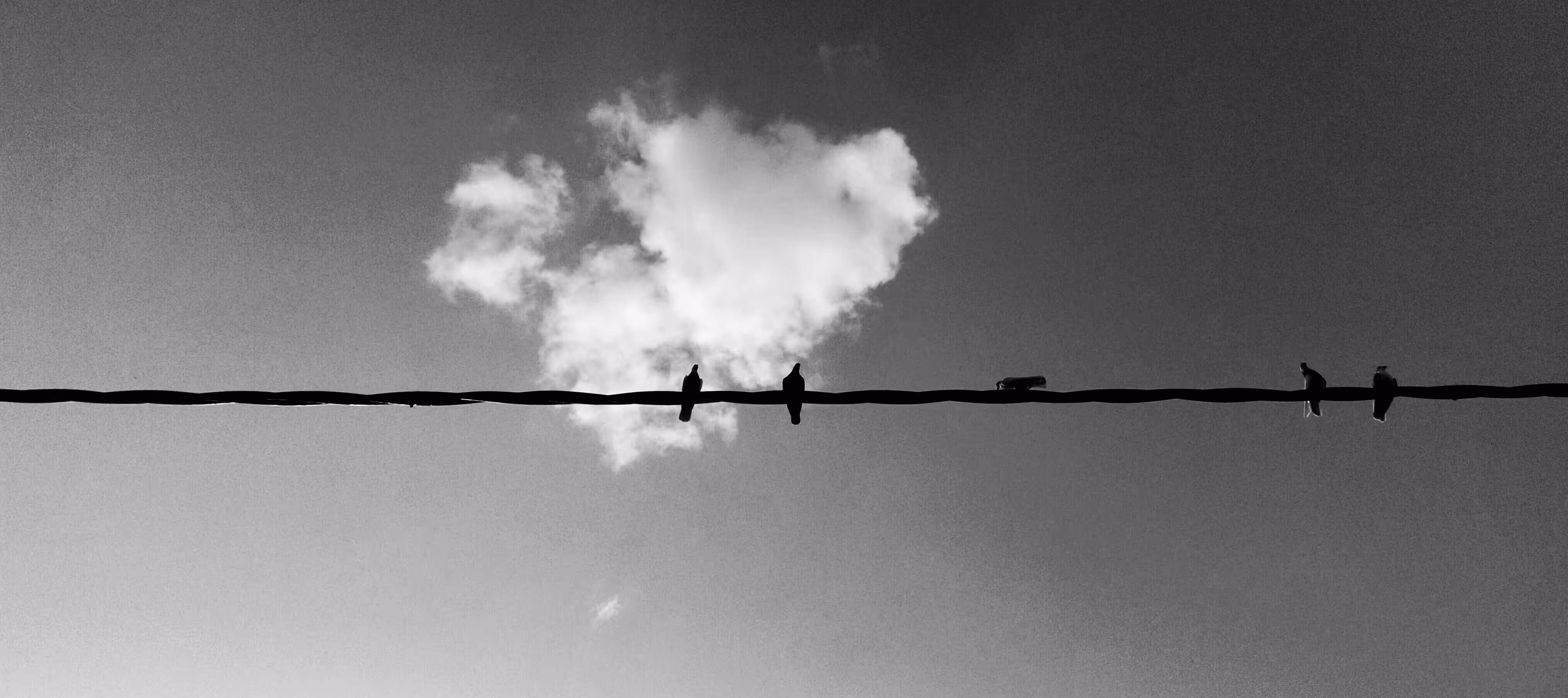 Loneliness
