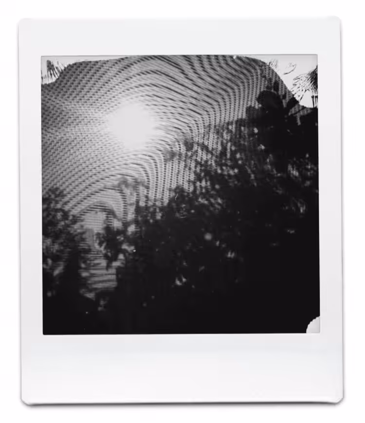 No Feeling Is Final #6