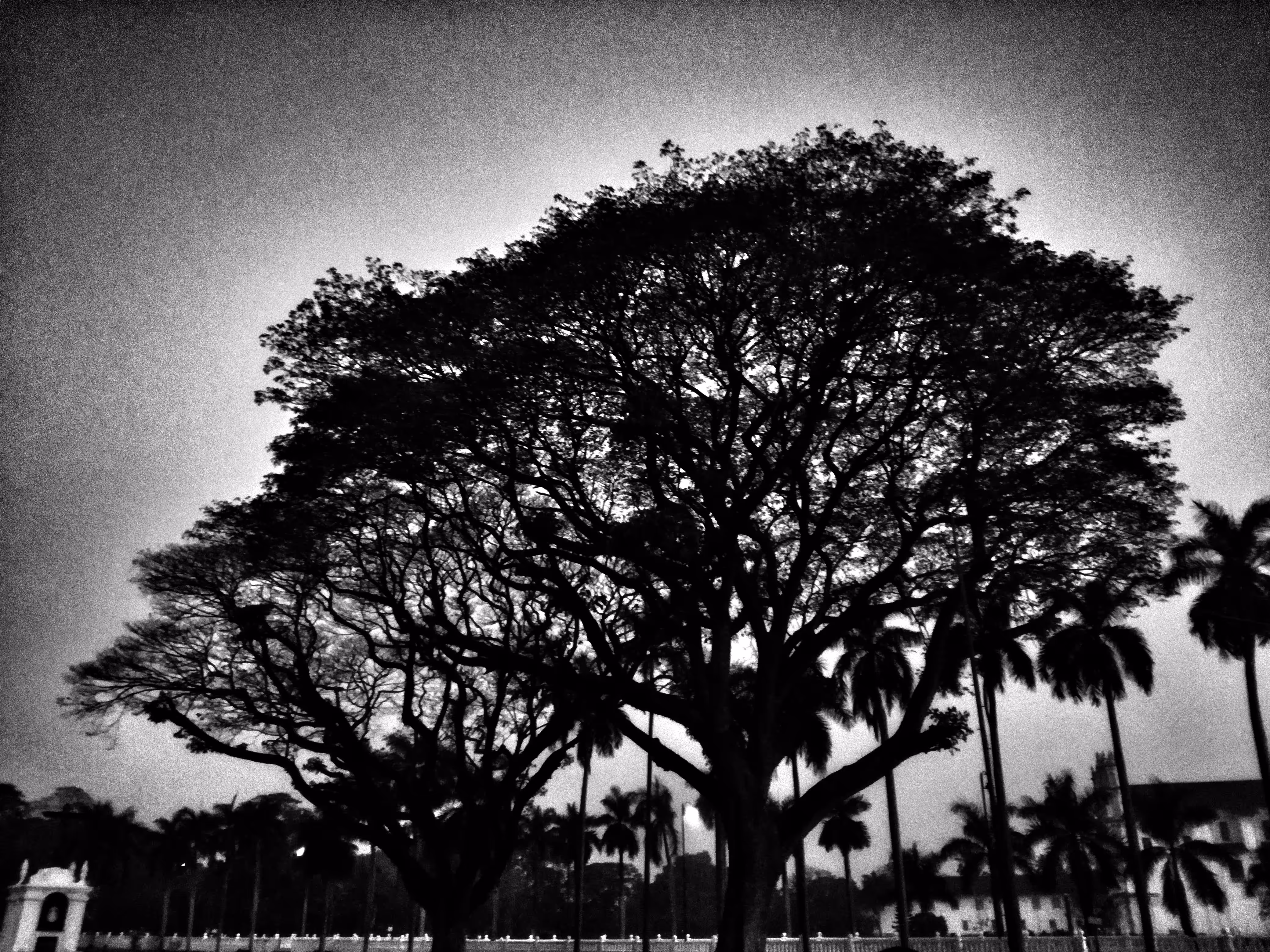 In the morning silence