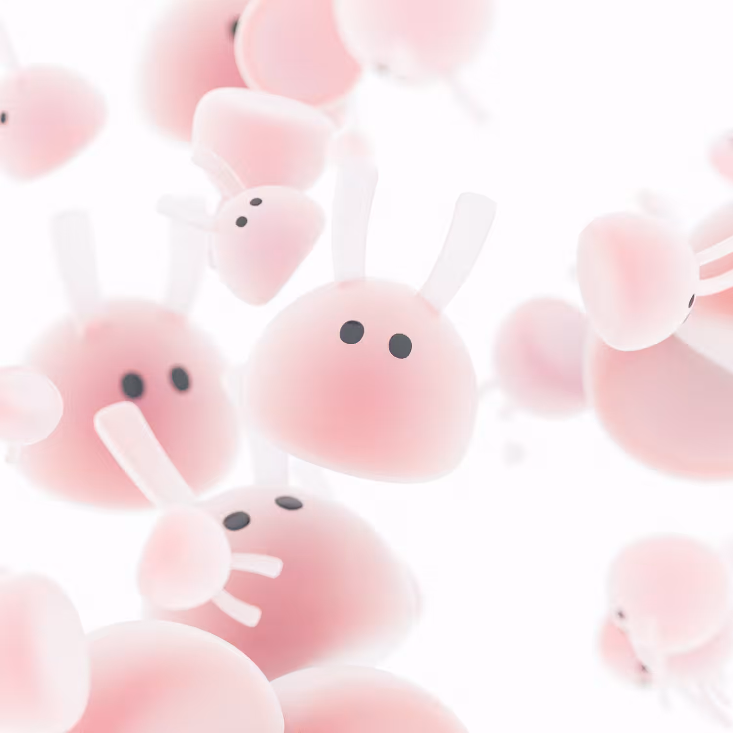 kawaii Bunny