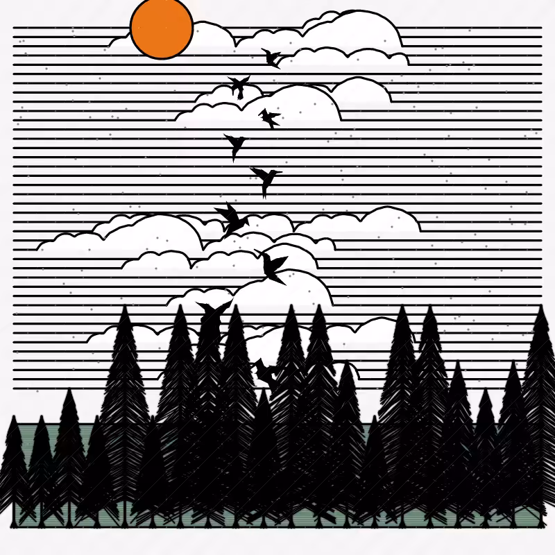 House of Birds #67
