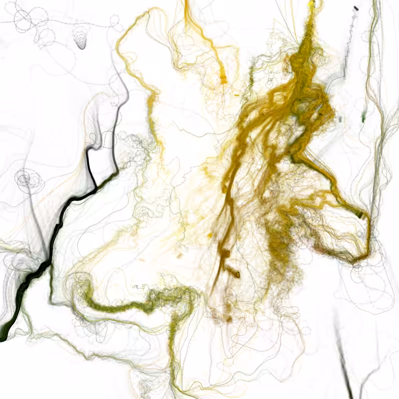 Hypericum #254