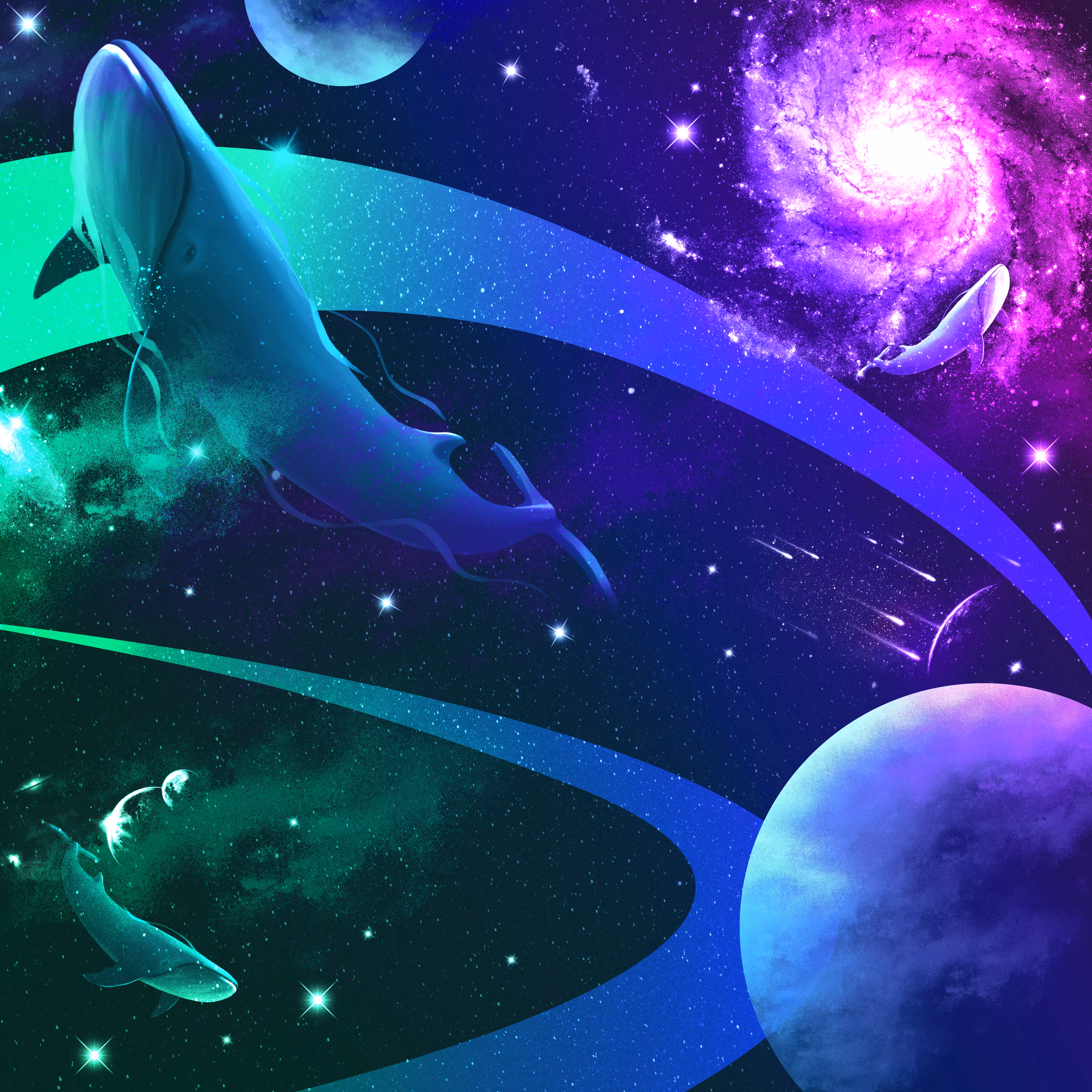 Whale Universe