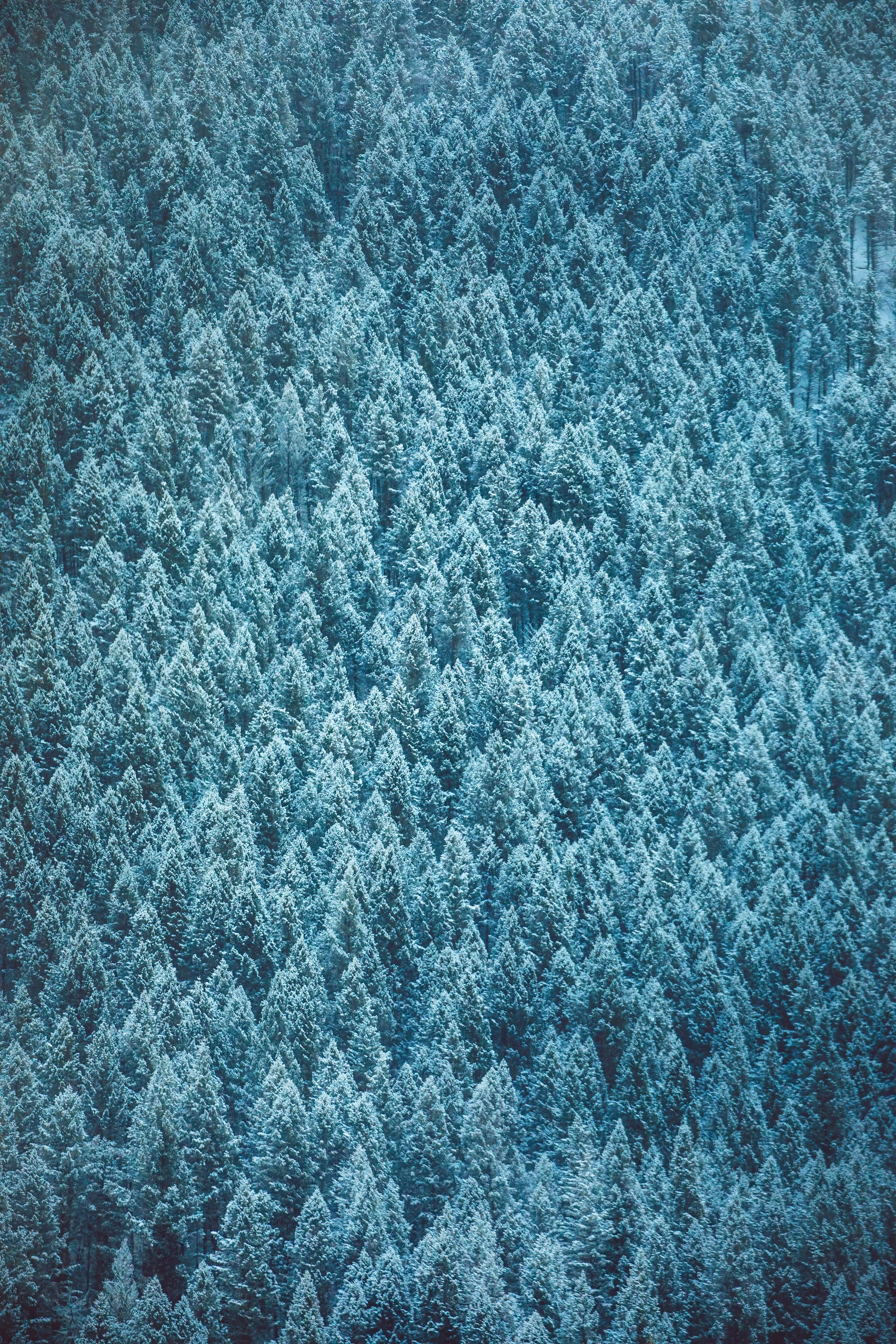 Natural Static