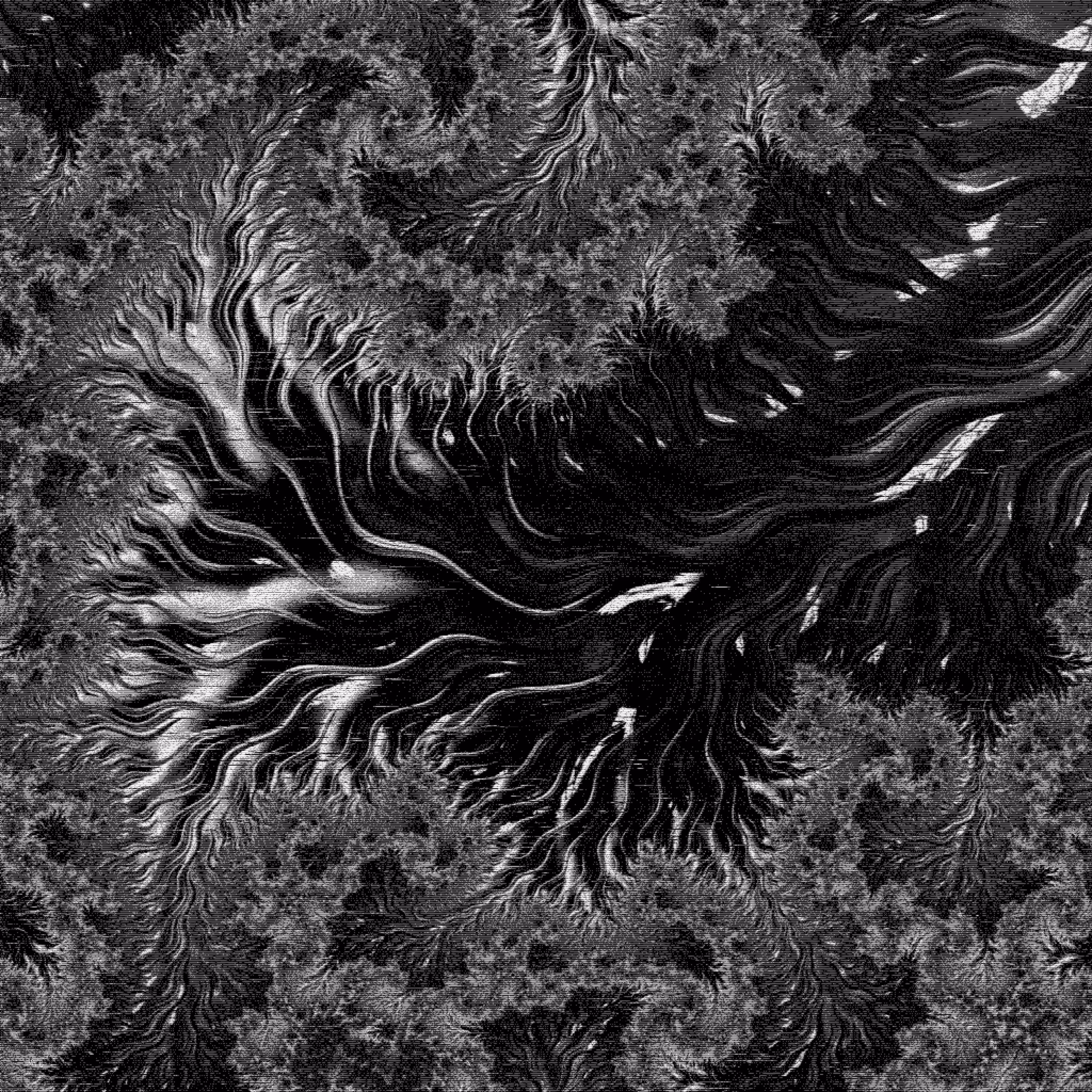 pwX_STU-i