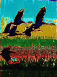 Nature: Sunset Migration 