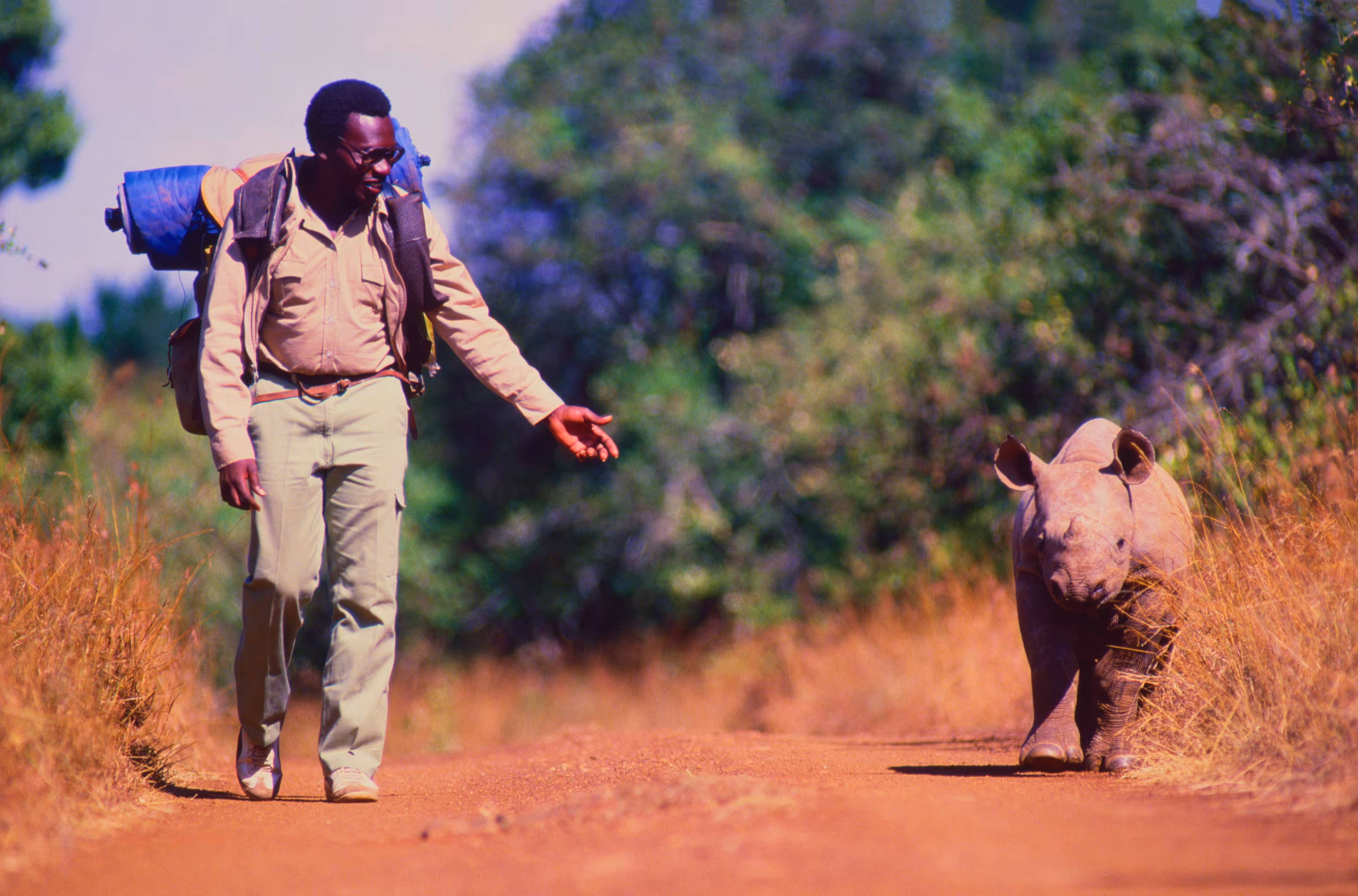 Rhino Man