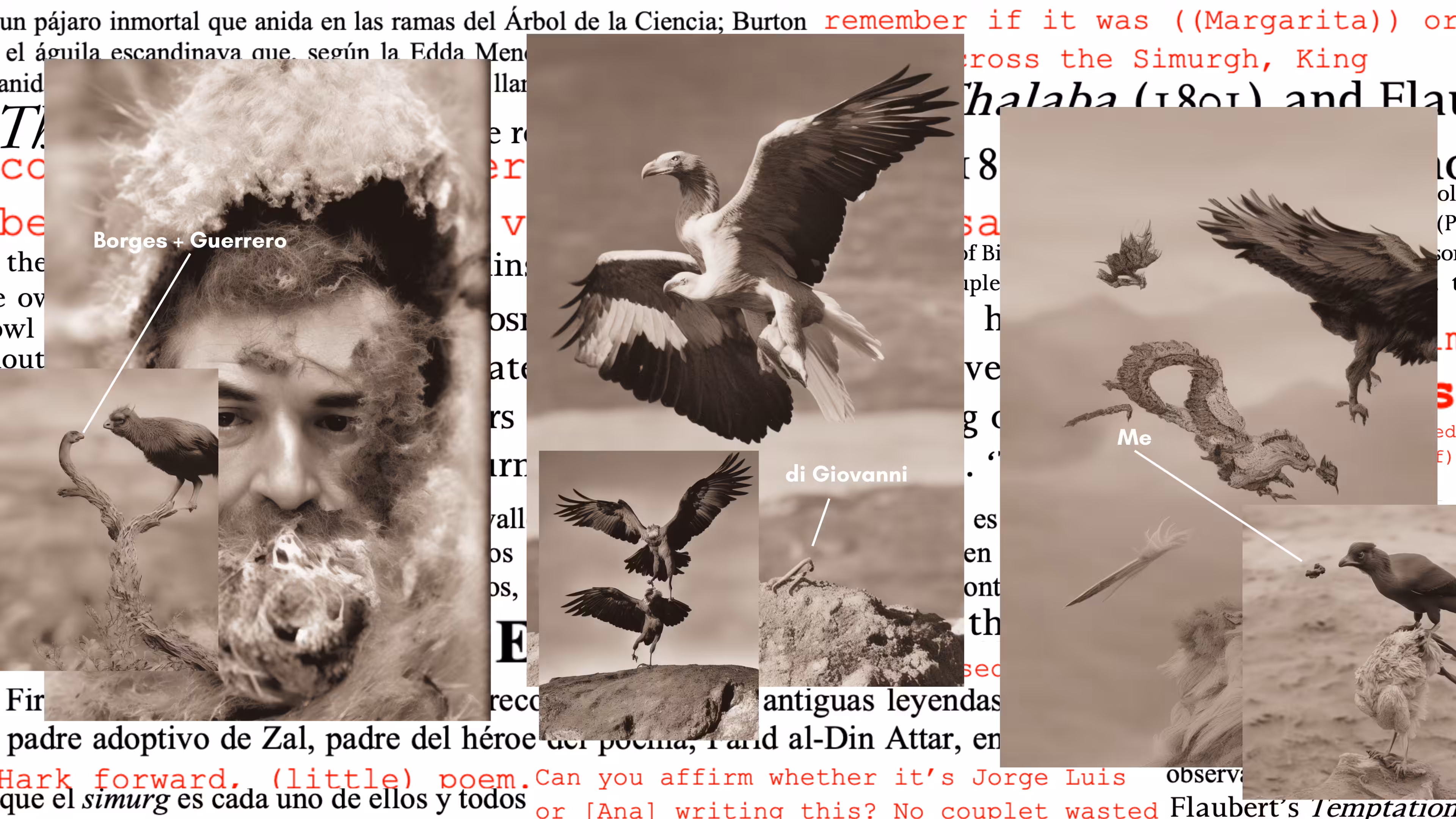 The Simurgh: King of the Birds: Collage