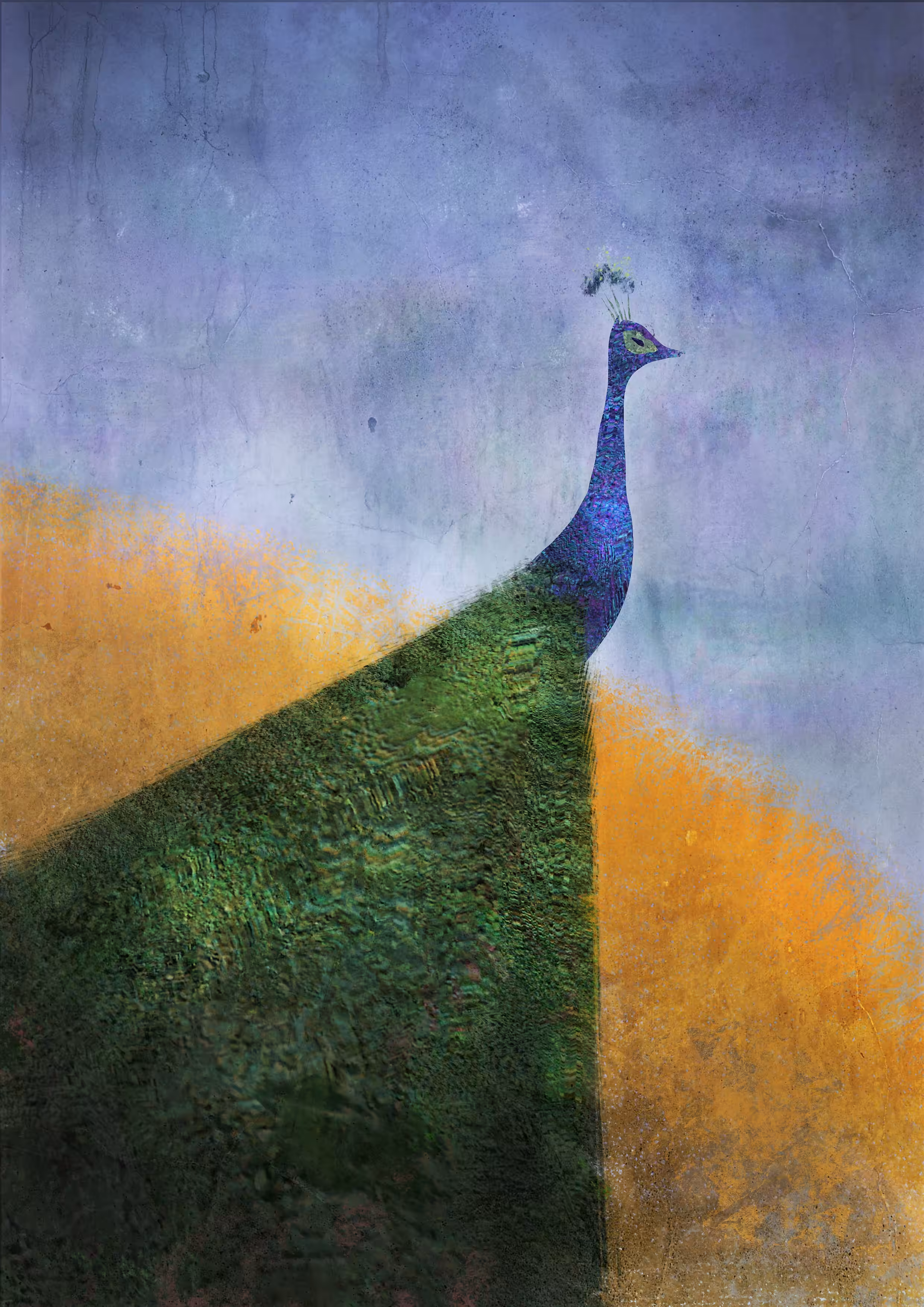 The Peacock