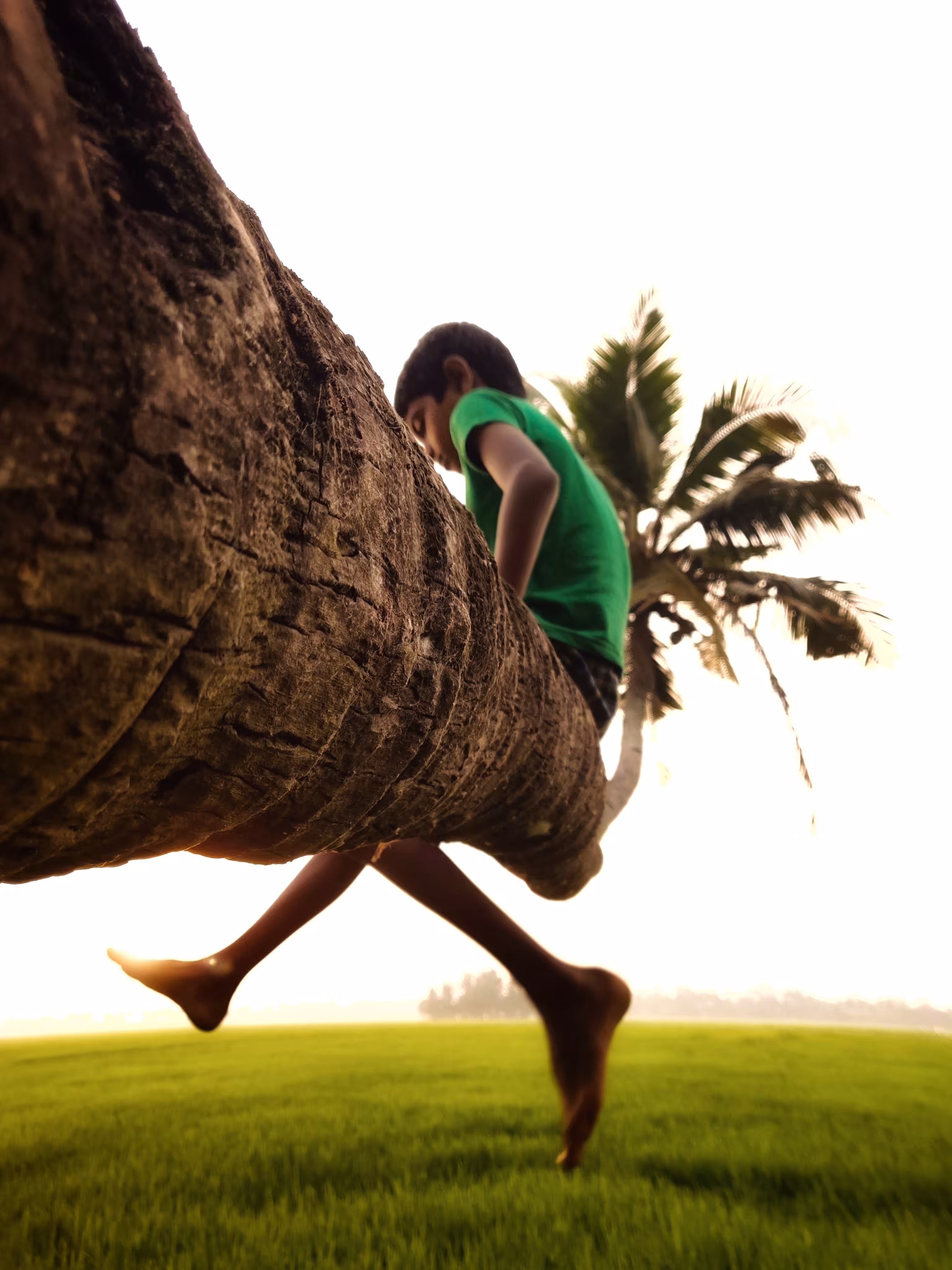 Village of Dreams #3 - Childhood Relived