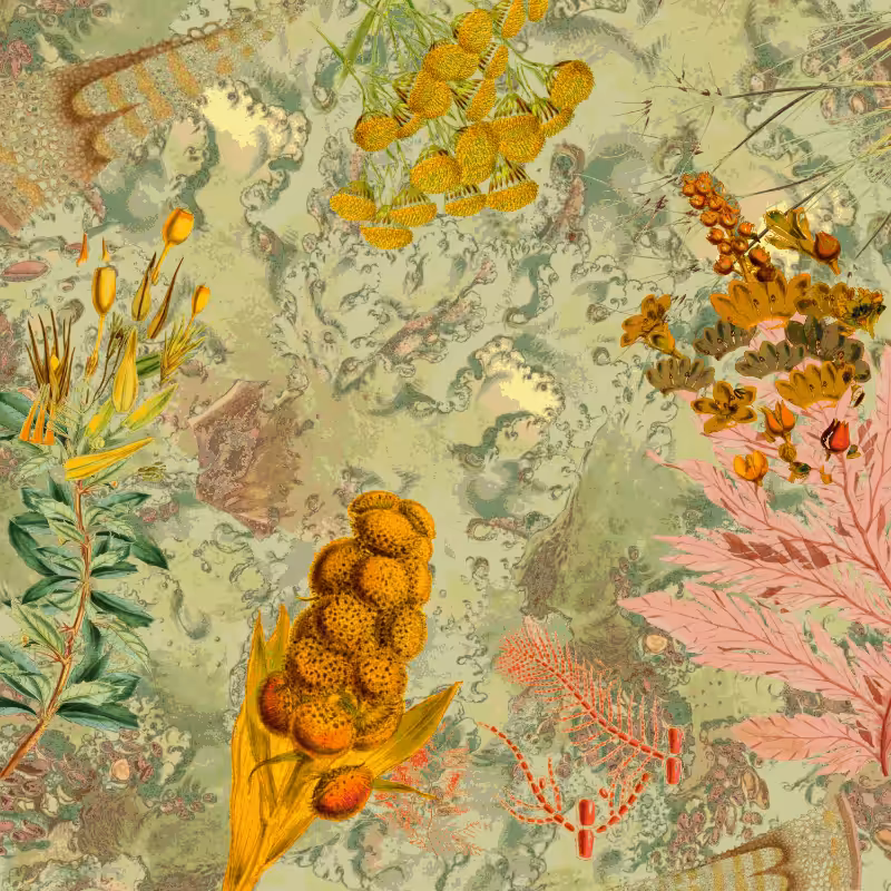 future flora from Antarctica's past #14