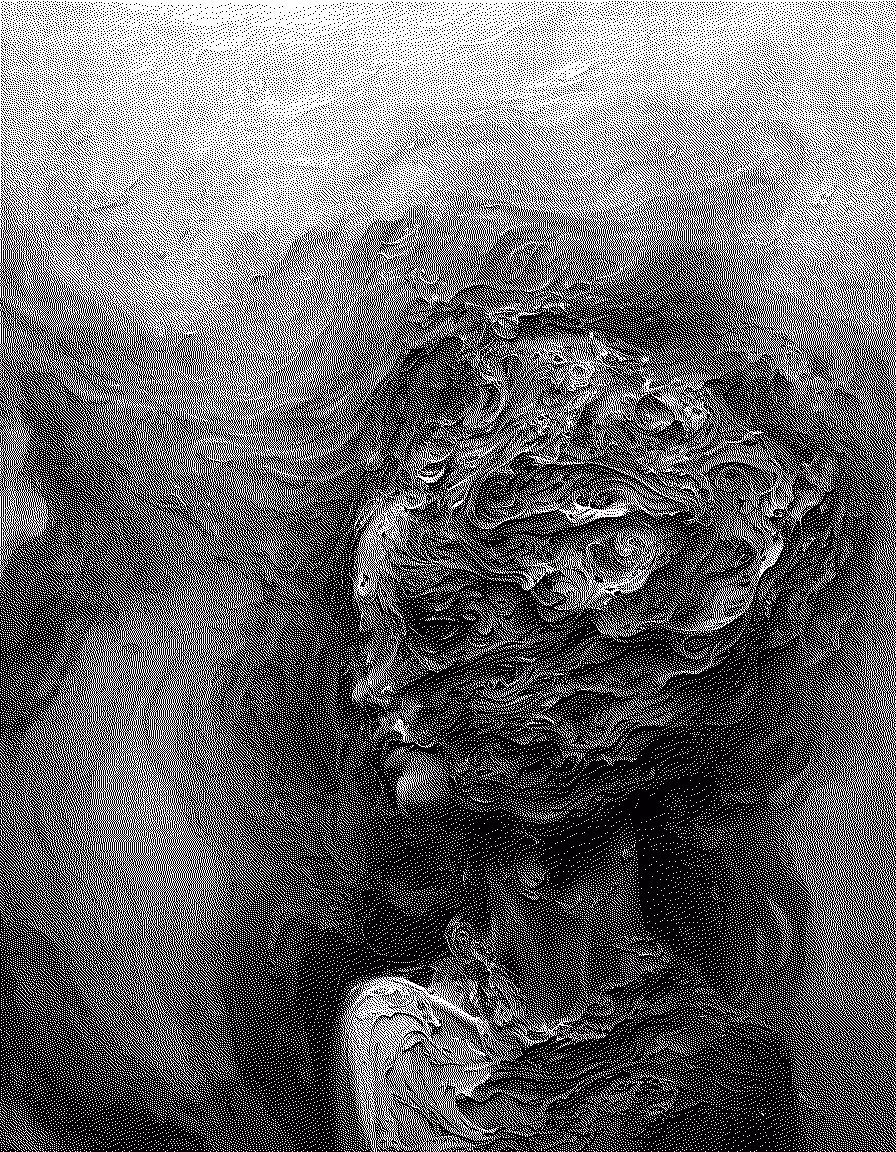 Whispers of Ash