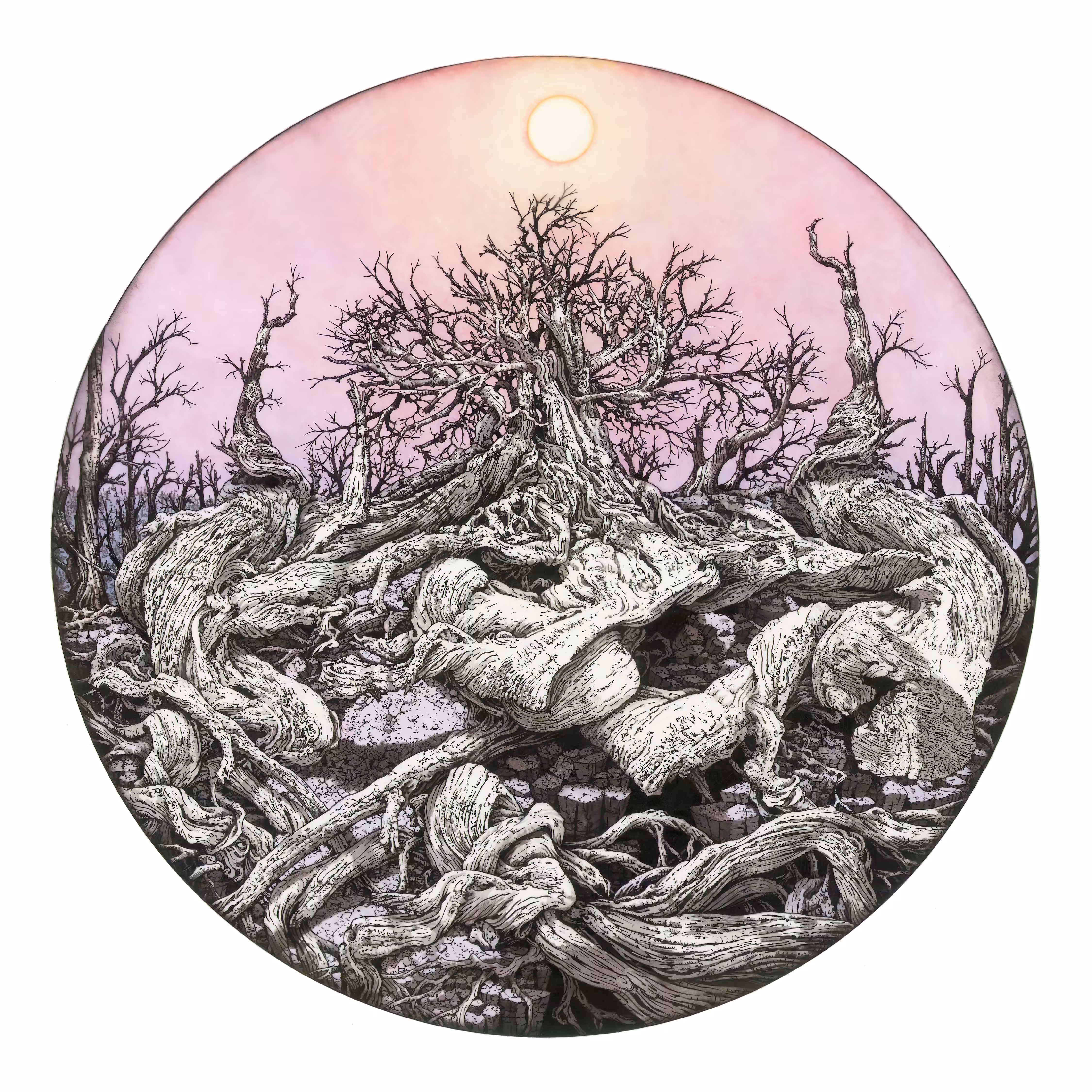 Rooted