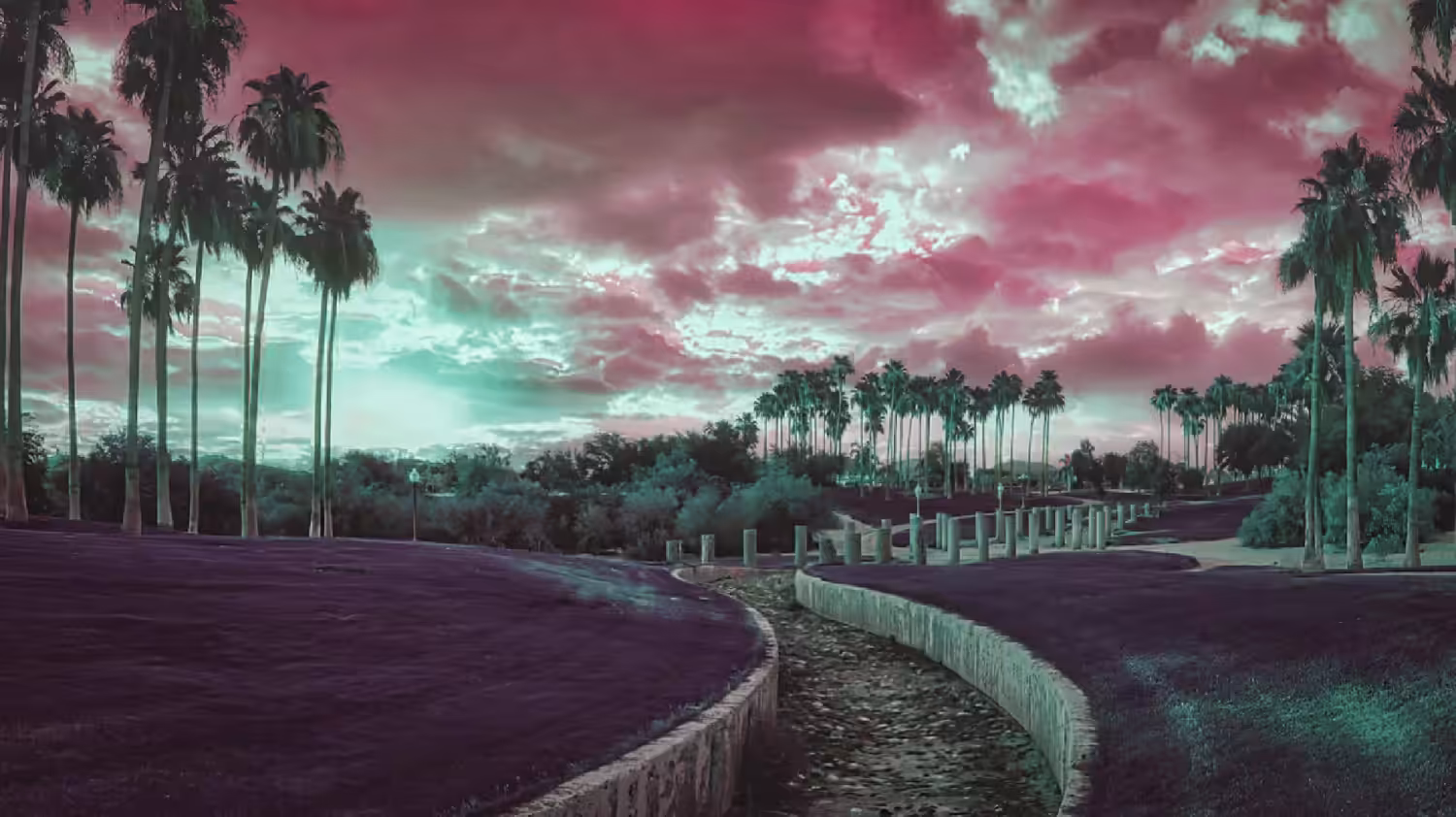 Cali Acid Trip