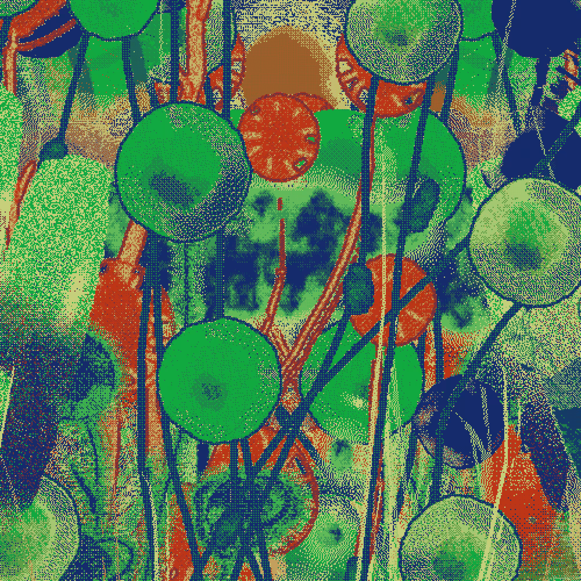 Between Seeds