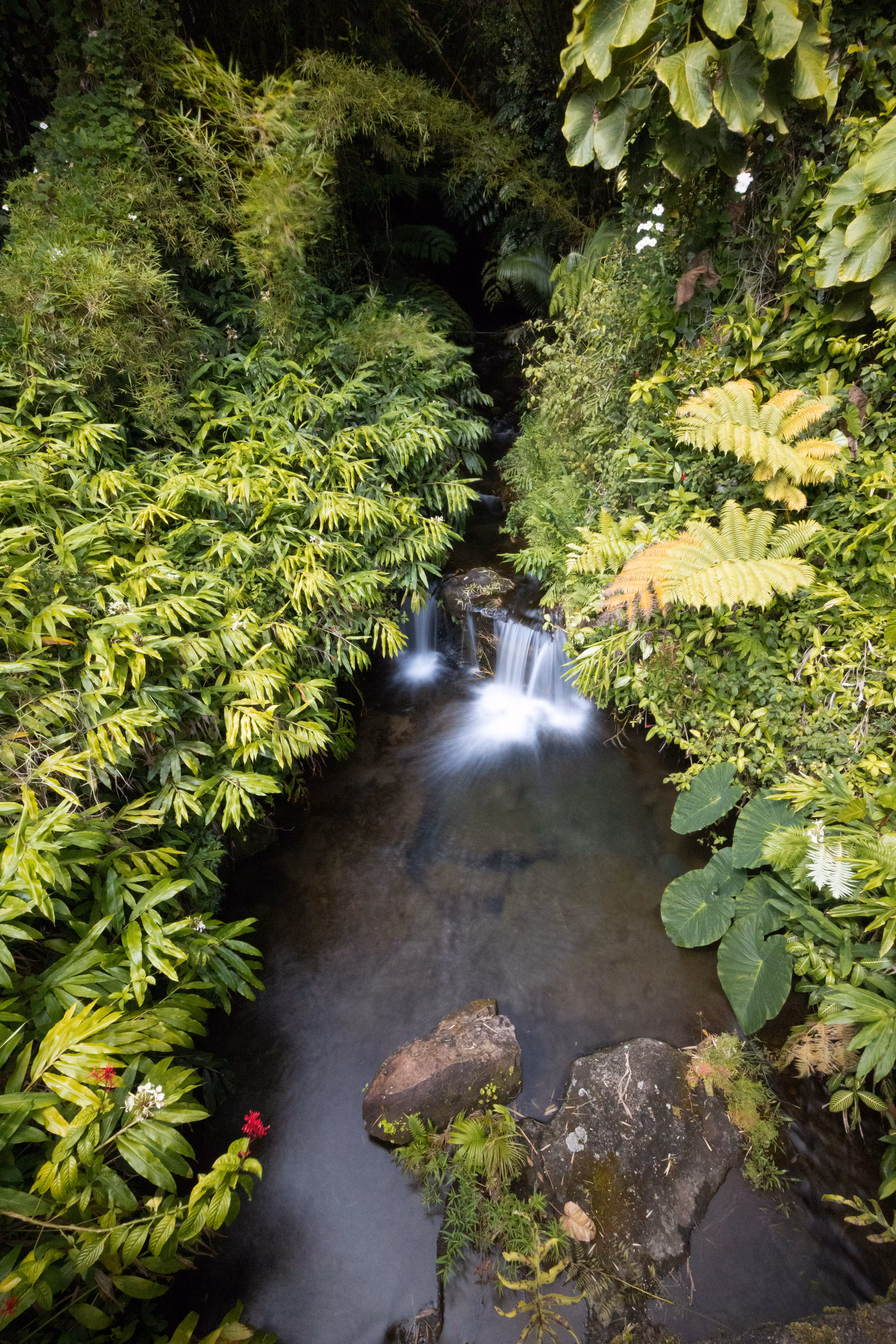 The secret falls